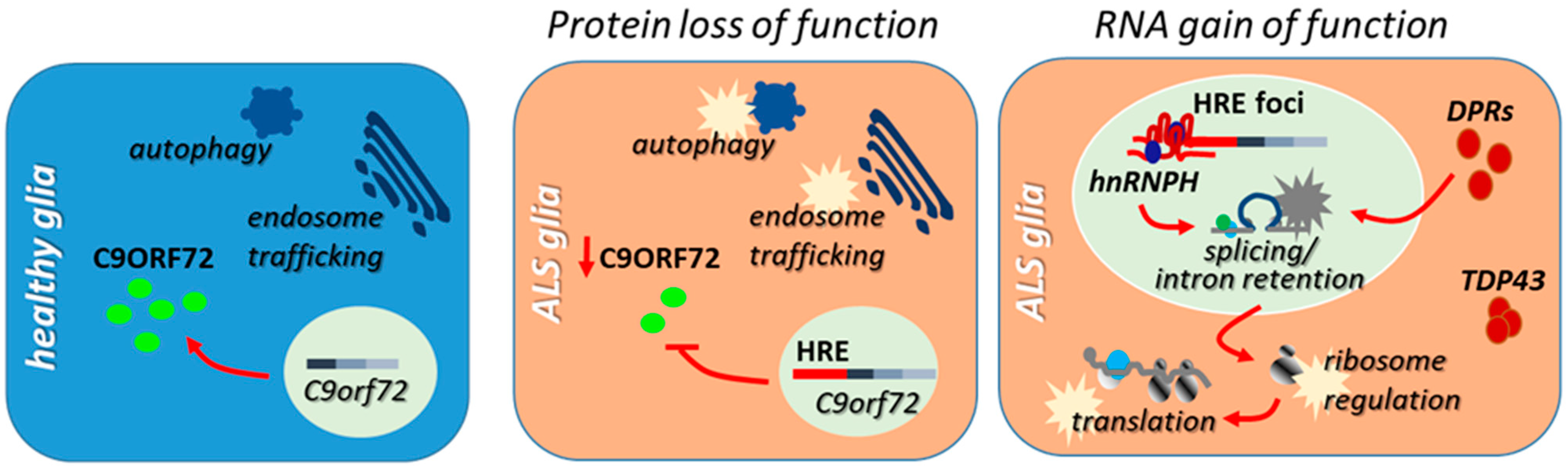 Cells 10 03005 g003 Cells 10 03005 g003