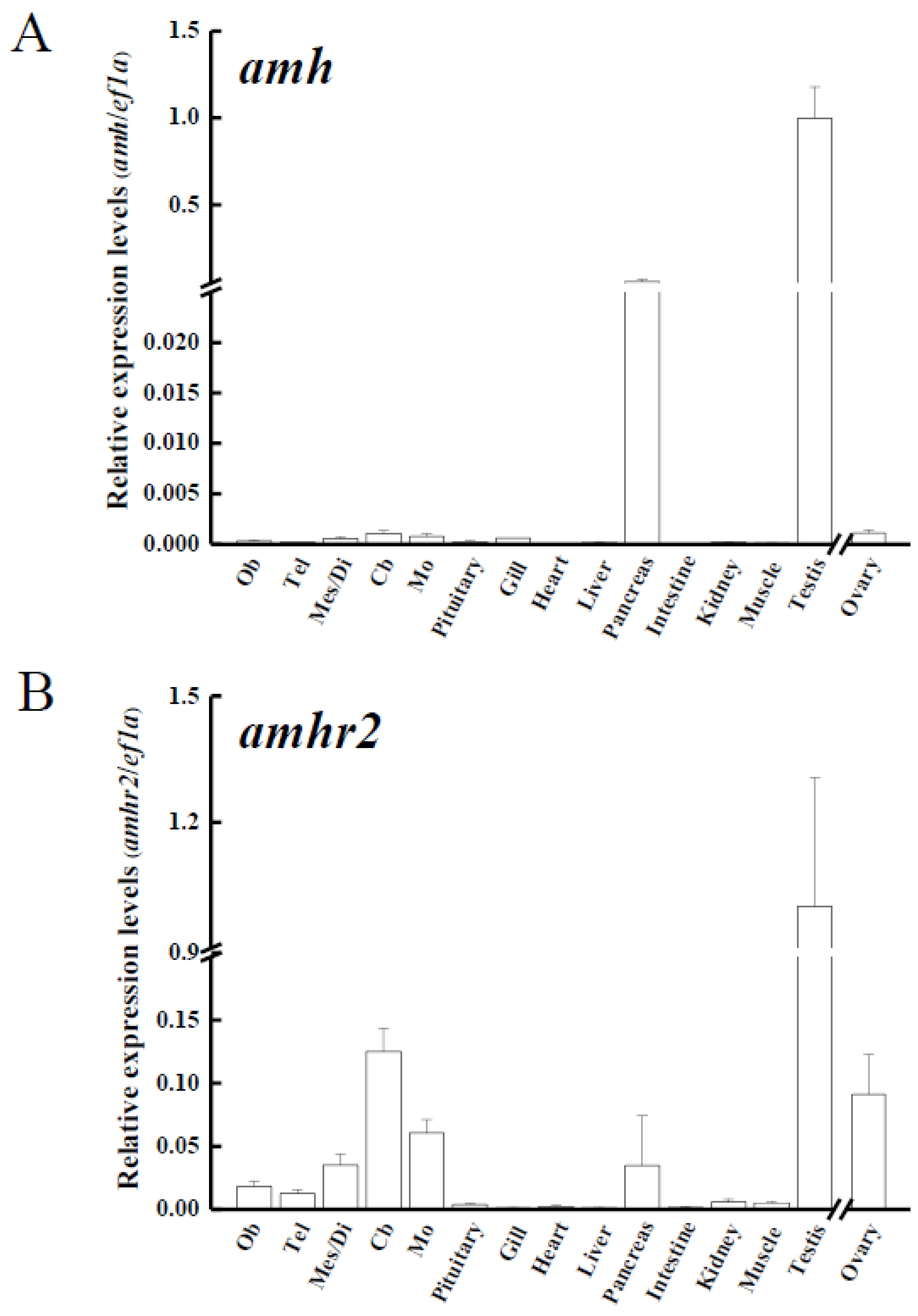 Cells 10 03007 g004a