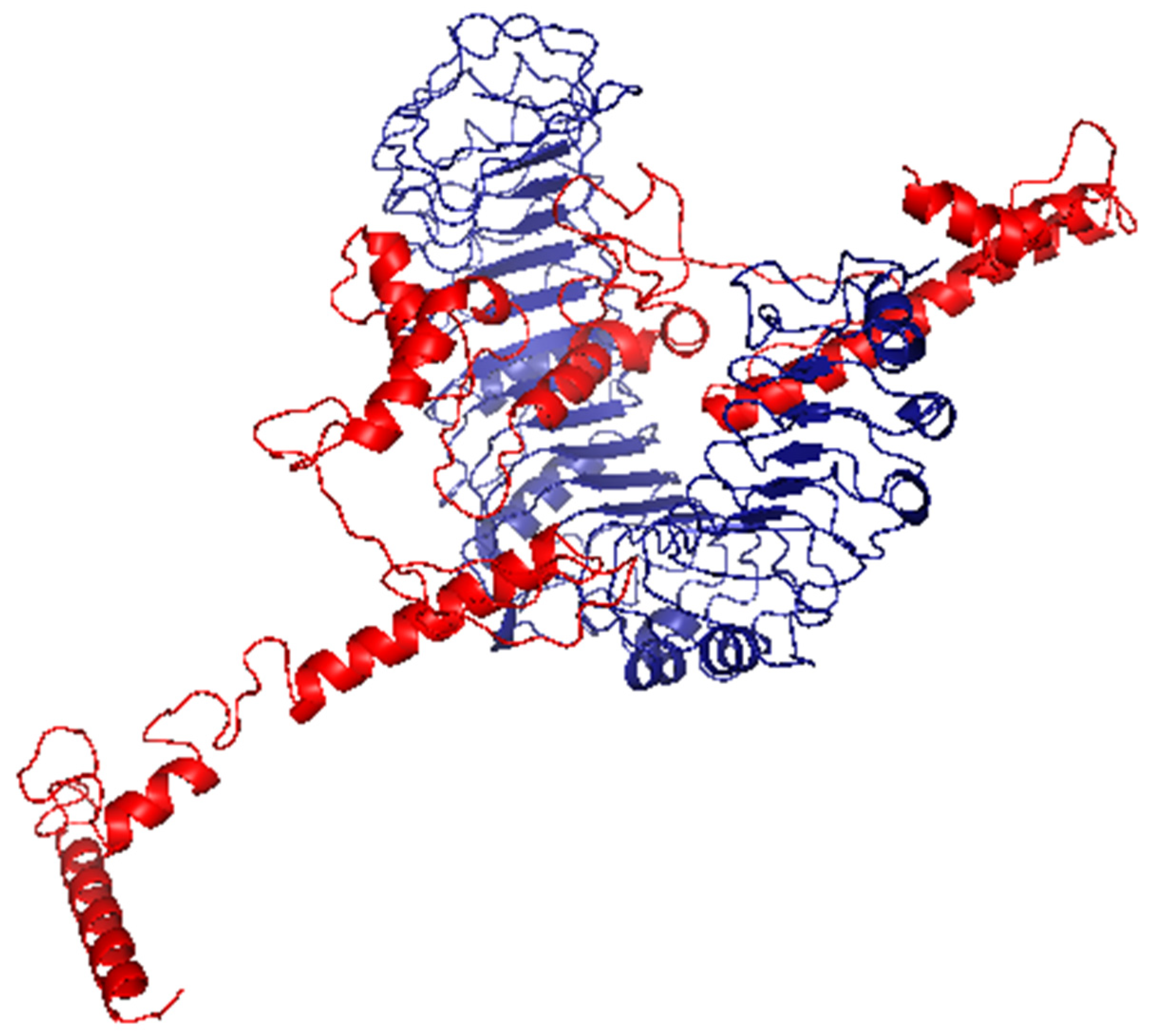 Cells 10 03014 g007 Cells 10 03014 g007