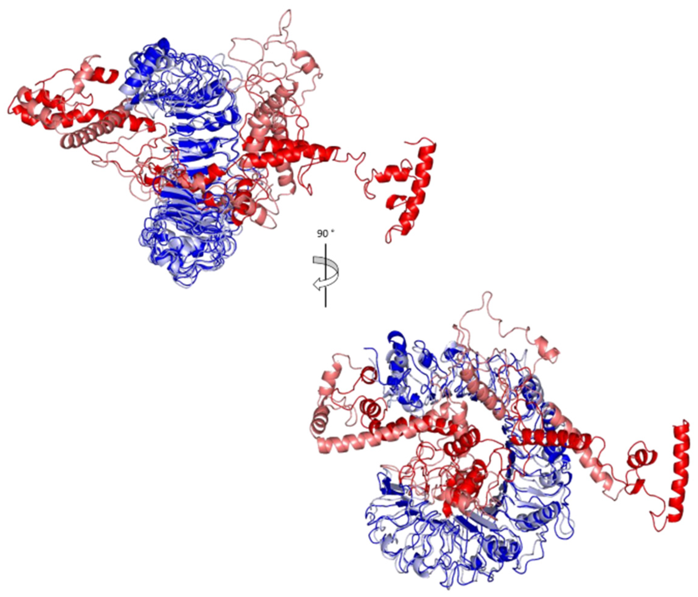 Cells 10 03014 g010 Cells 10 03014 g010
