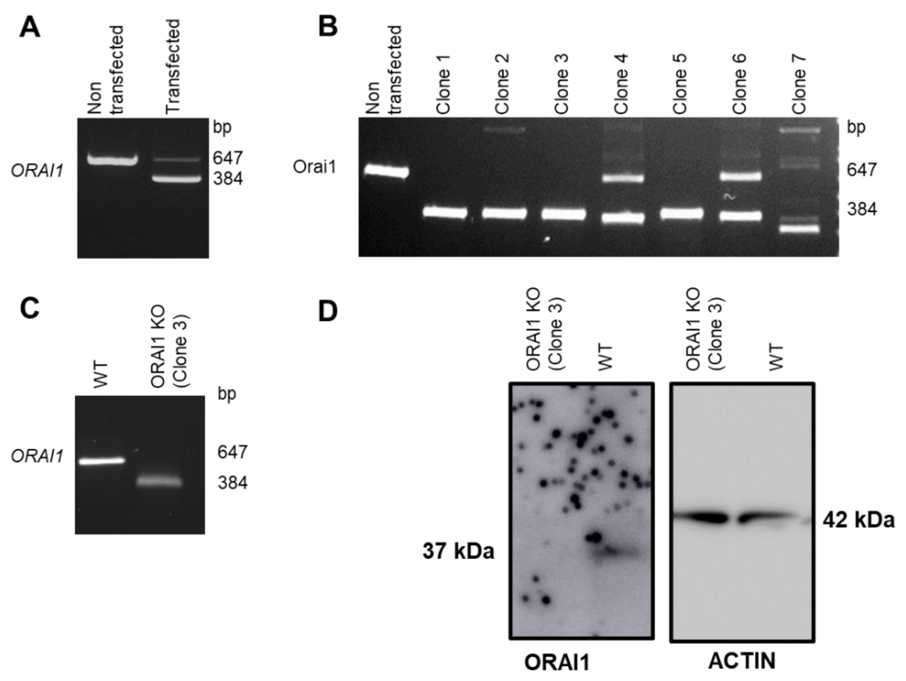 Cells 10 03016 g002 550