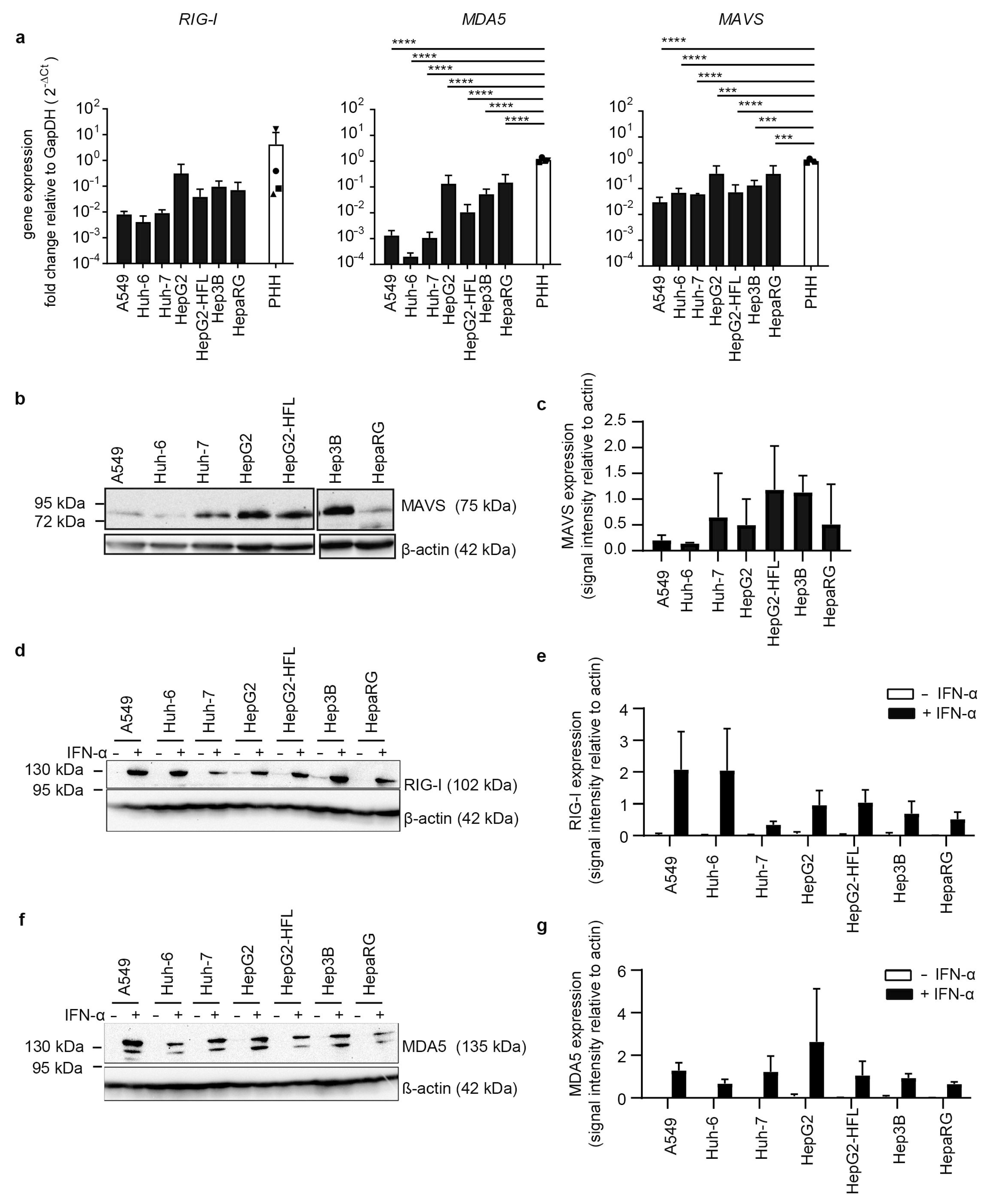 Cells 10 03019 g001 Cells 10 03019 g001