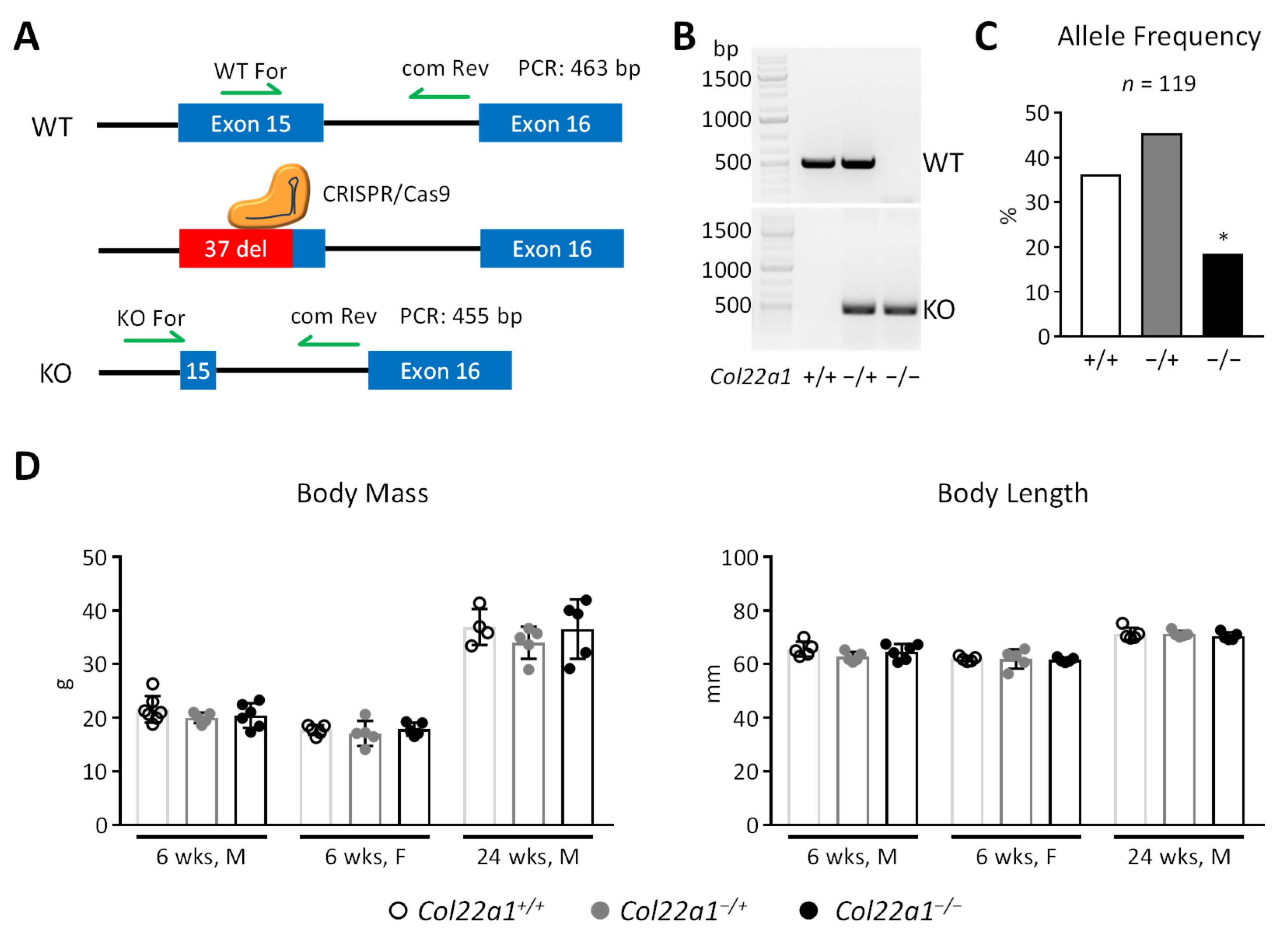 Cells 10 03020 g002 550
