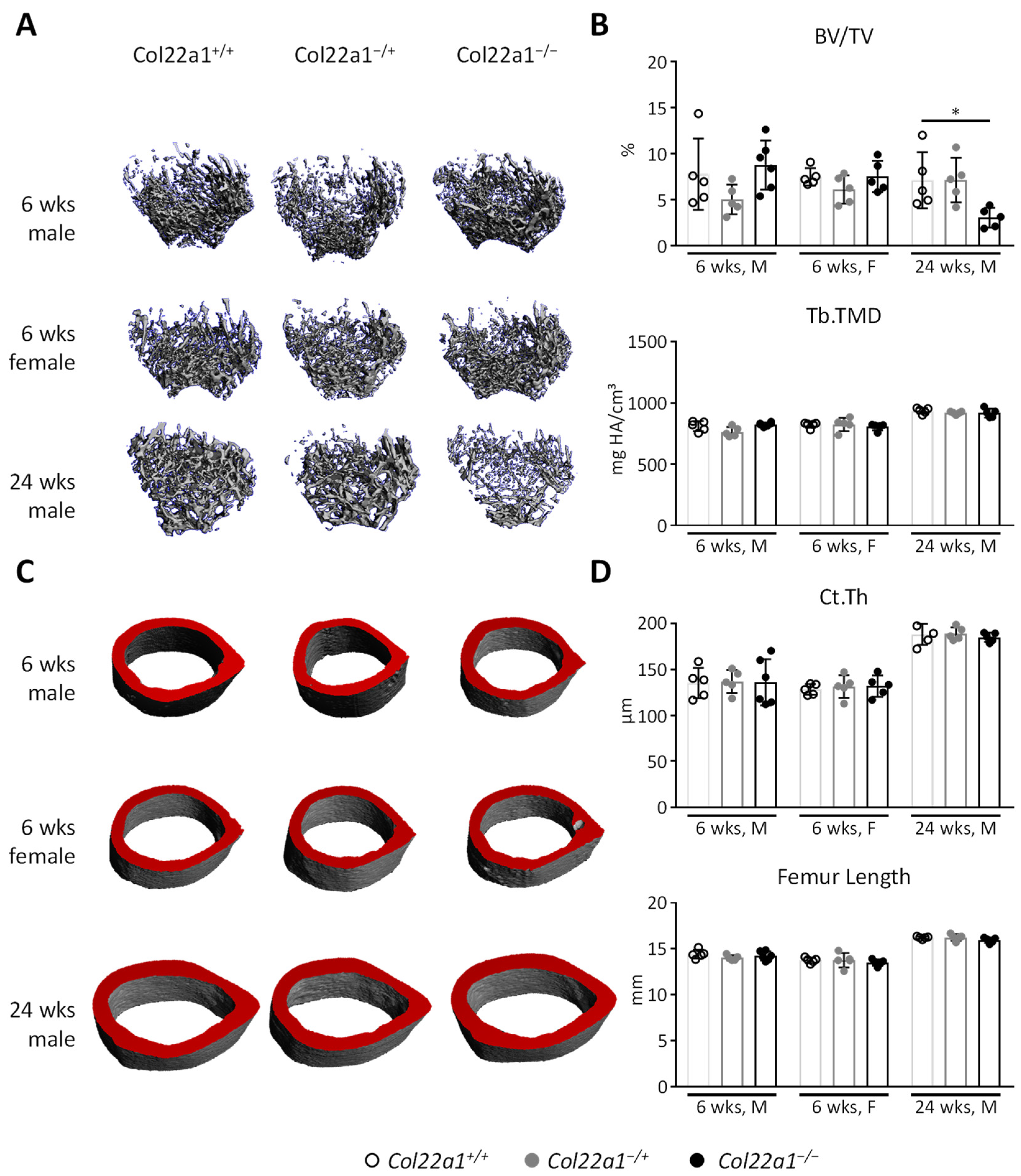 Cells 10 03020 g003 550