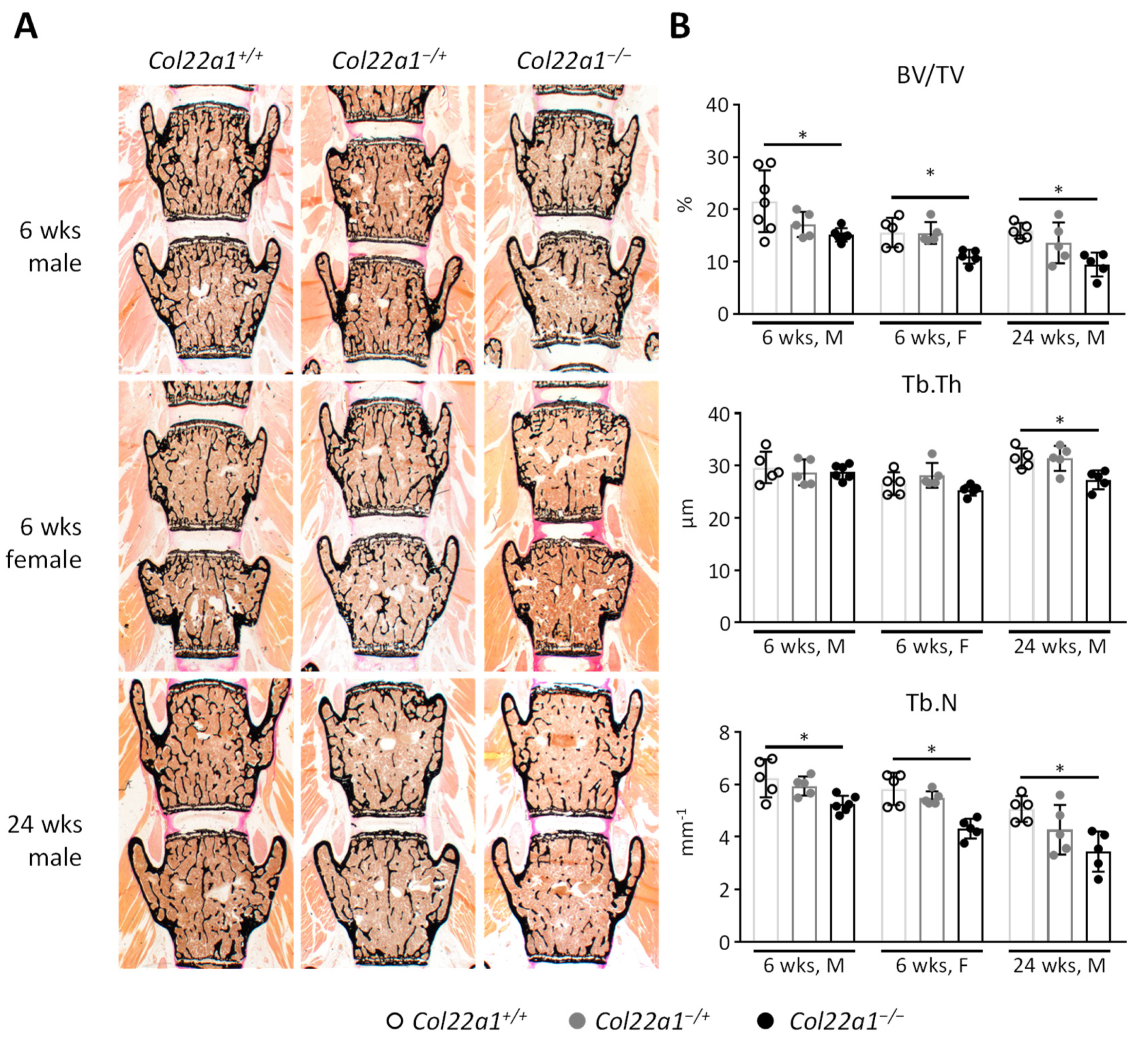 Cells 10 03020 g005 550