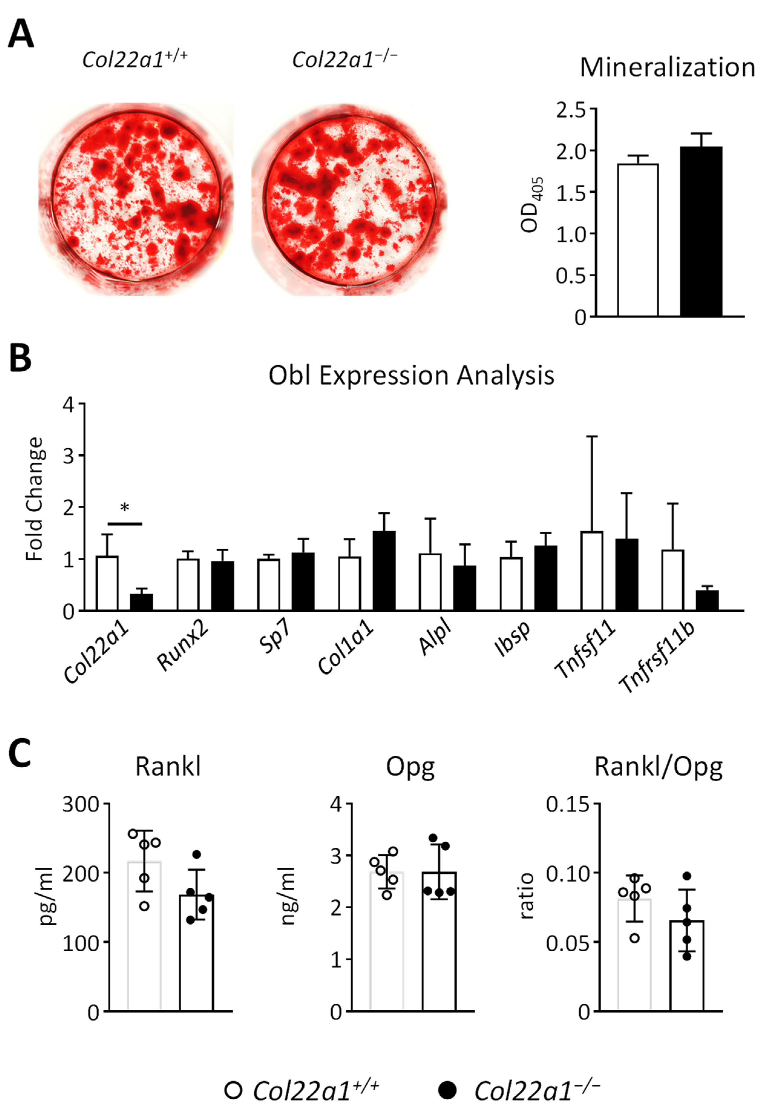 Cells 10 03020 g007 550
