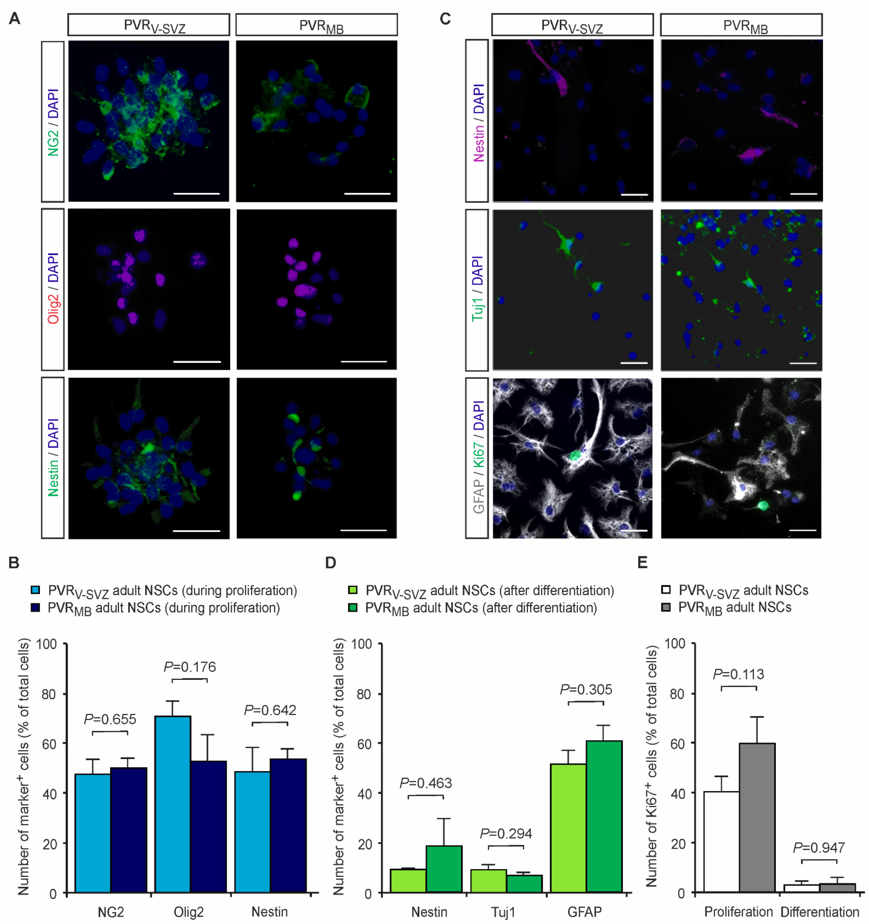 Cells 10 03021 g001 550