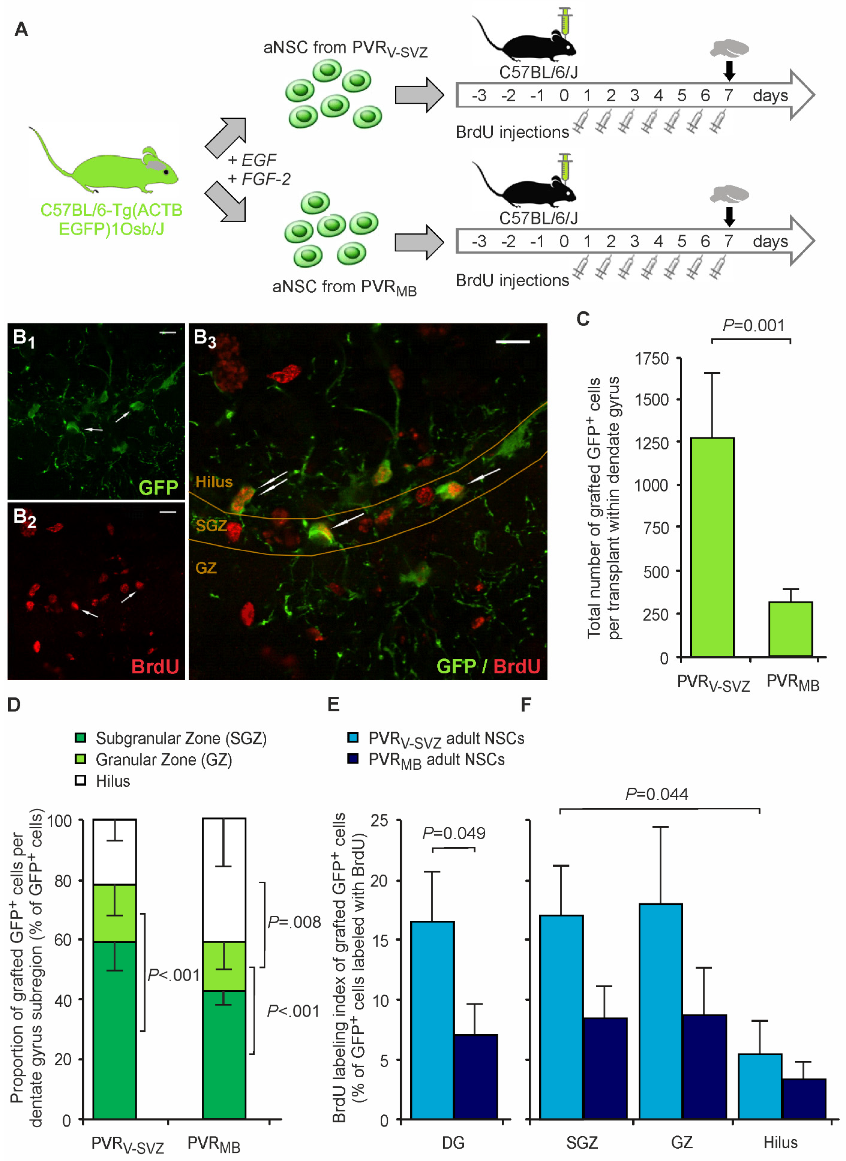 Cells 10 03021 g002 550