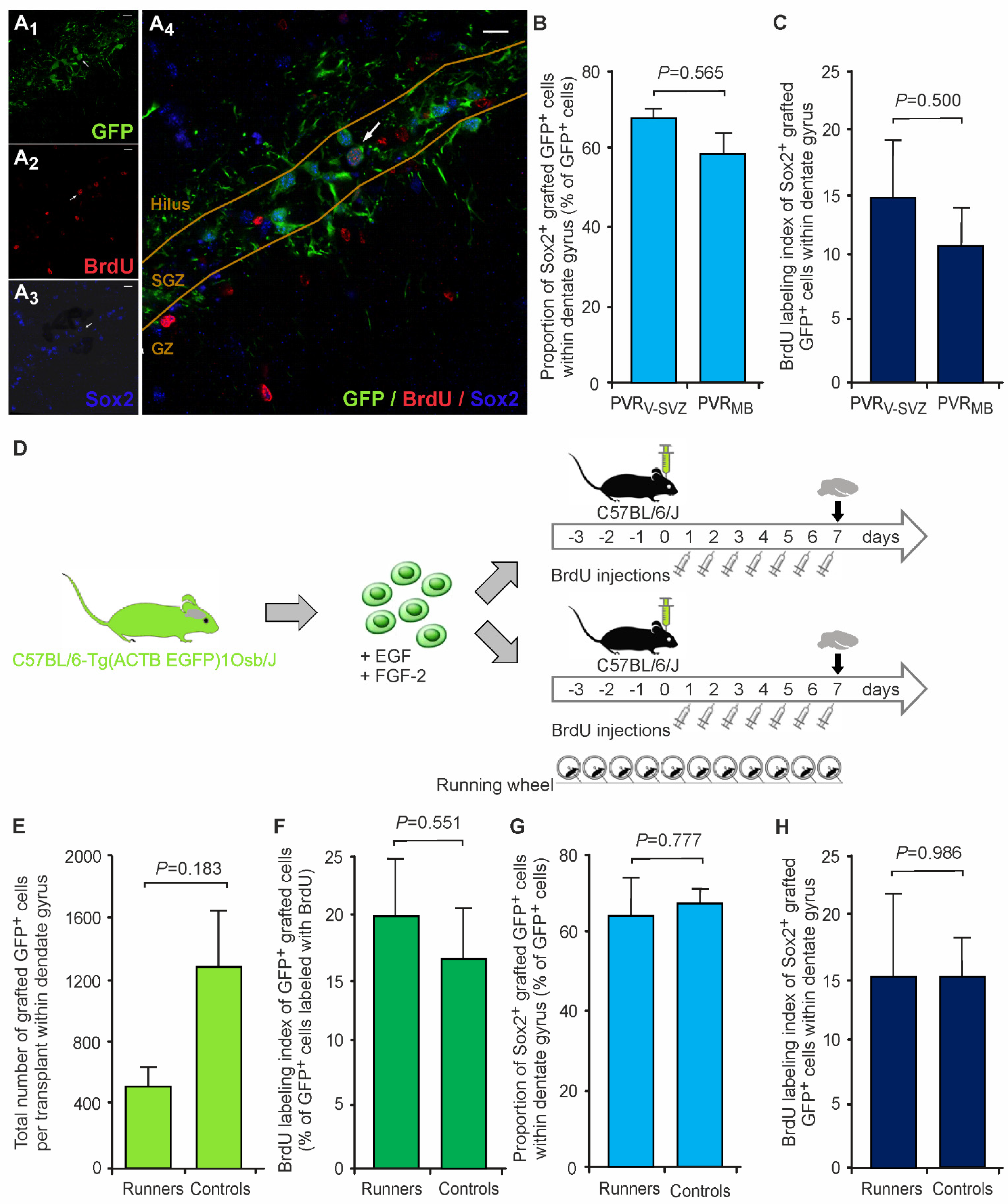 Cells 10 03021 g003 550