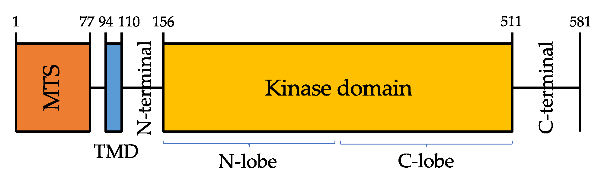 Cells 10 03022 g001 Cells 10 03022 g001