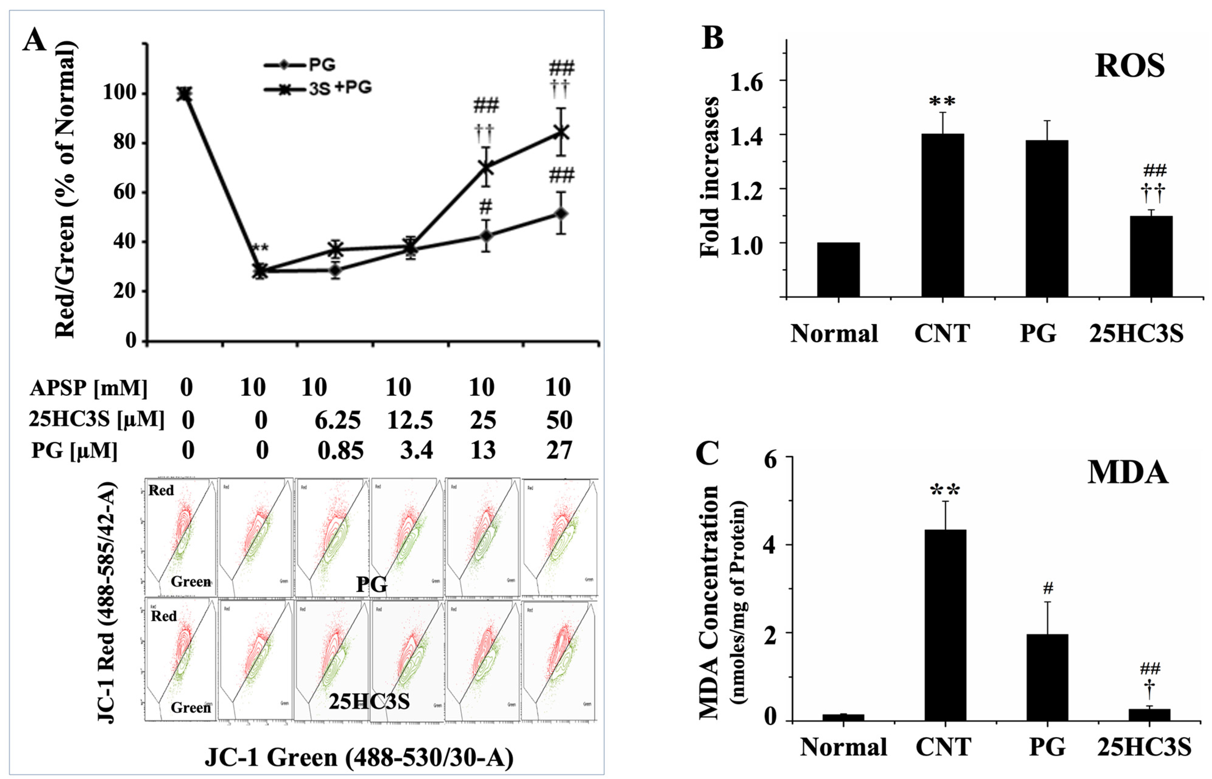 Cells 10 03027 g005 Cells 10 03027 g005