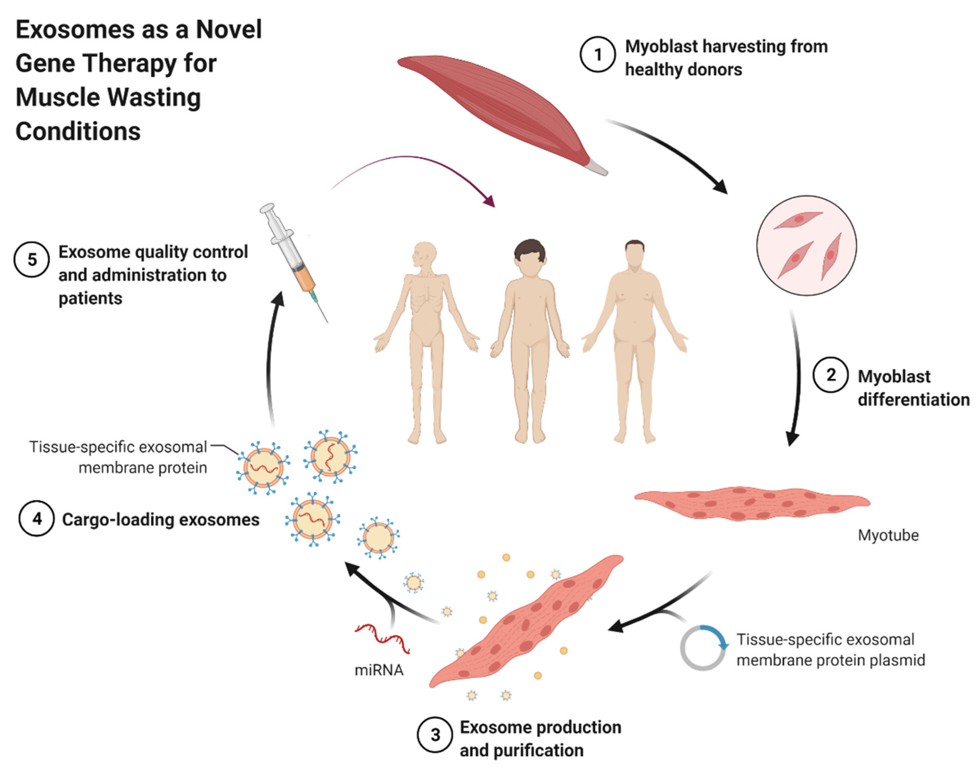 Cells 10 03035 g004 Cells 10 03035 g004