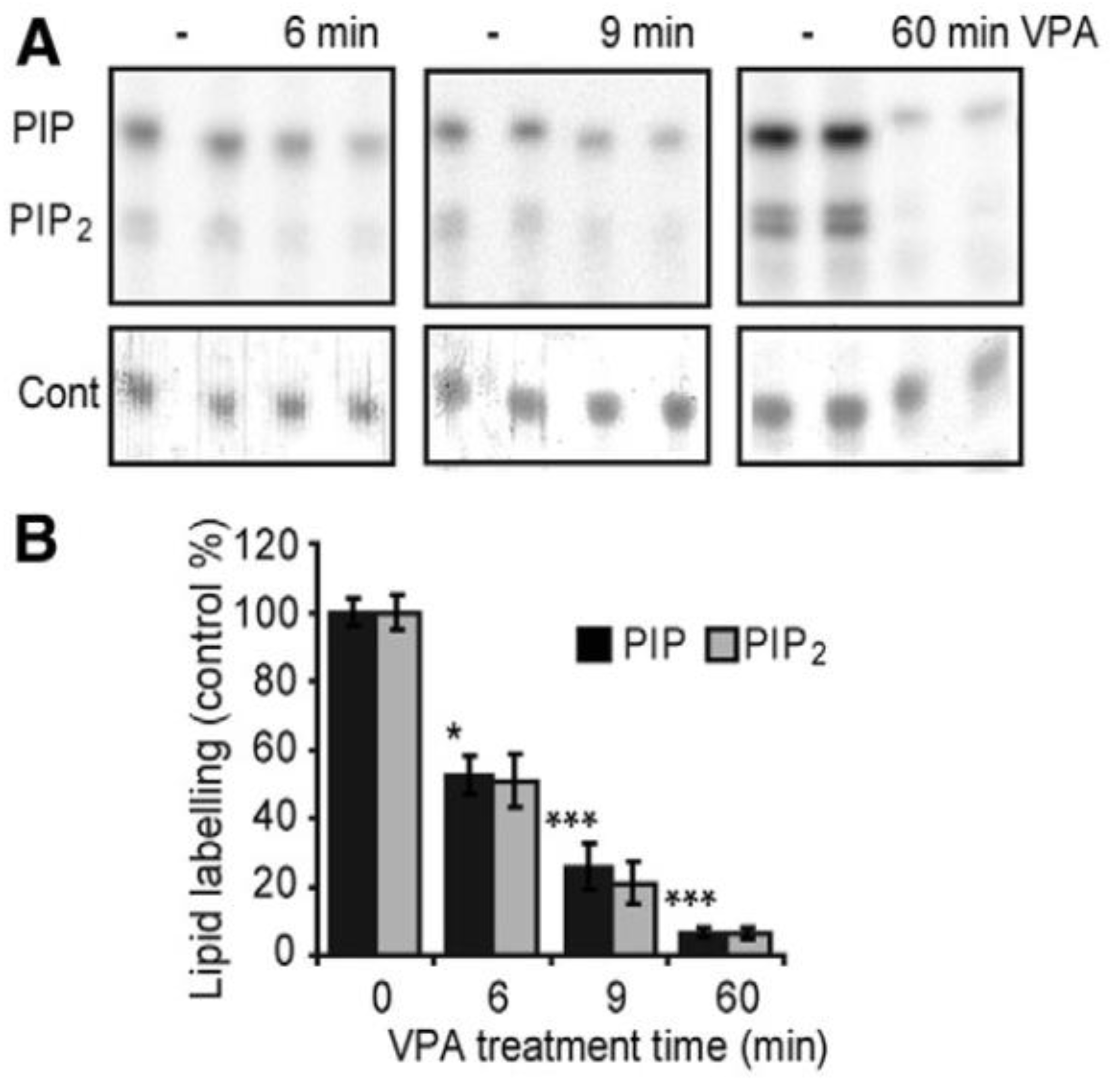 Cells 10 03036 g005 Cells 10 03036 g005