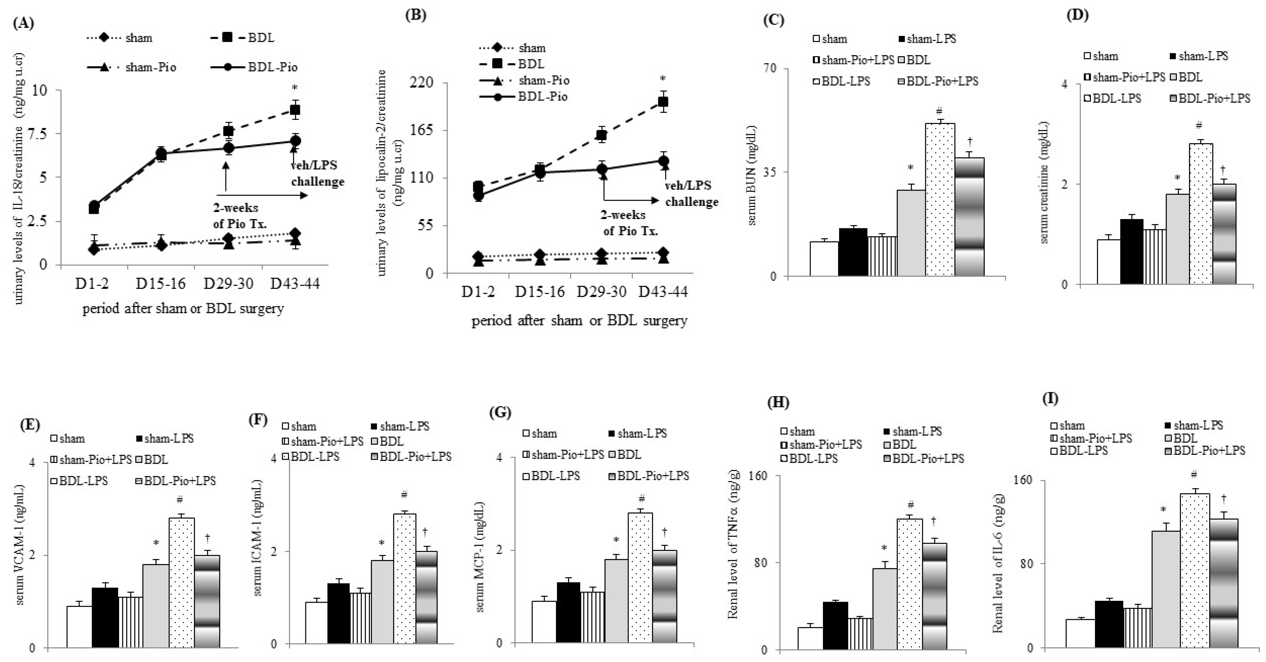 Cells 10 03044 g001 550