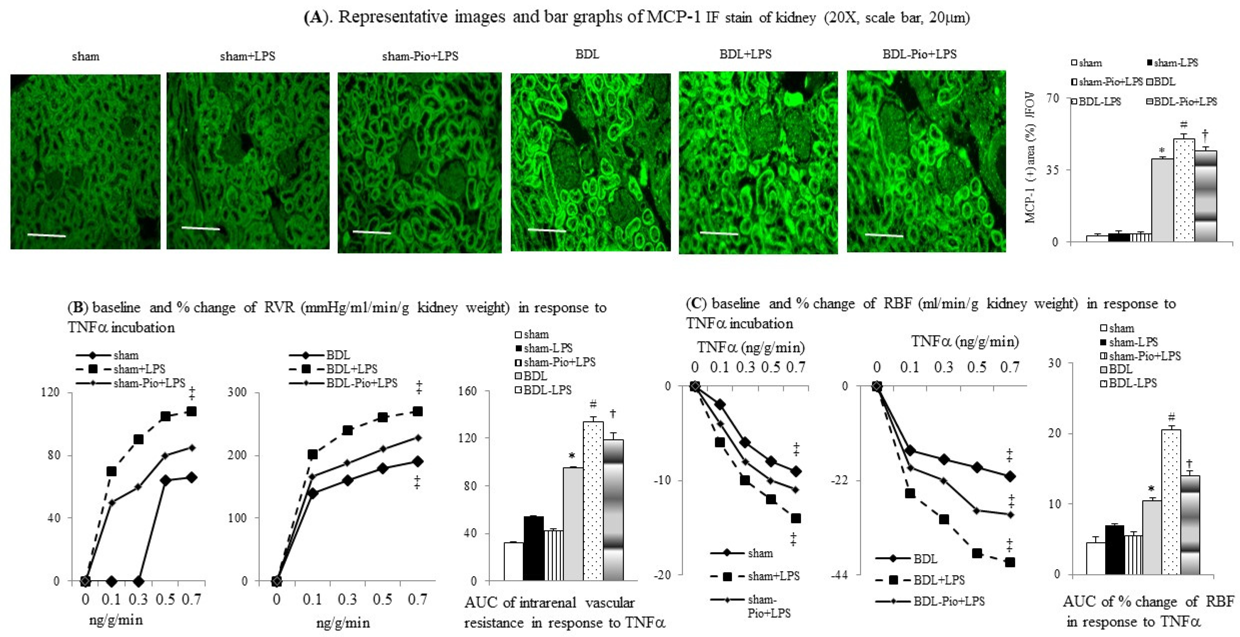 Cells 10 03044 g004 550
