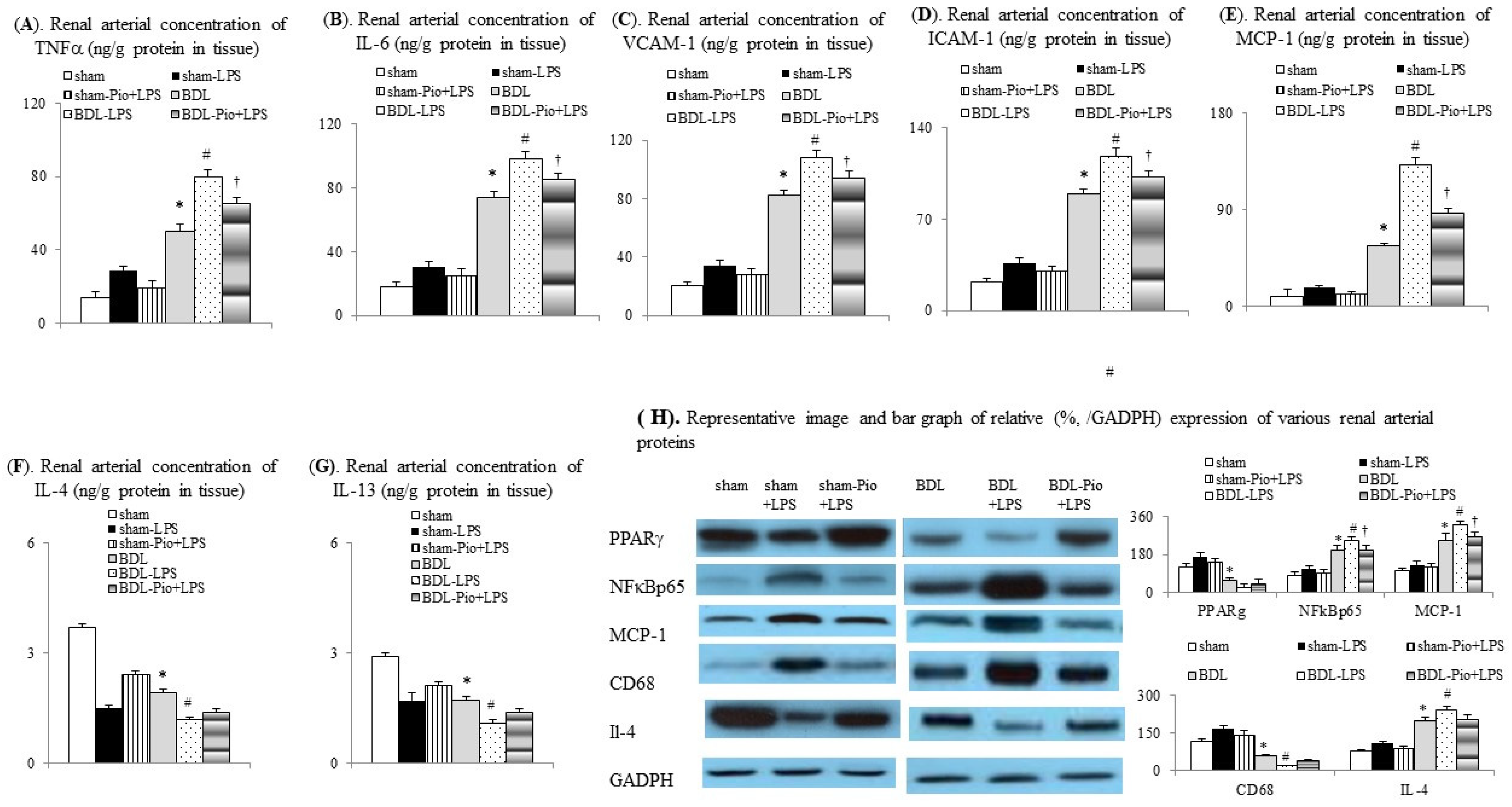 Cells 10 03044 g005 550