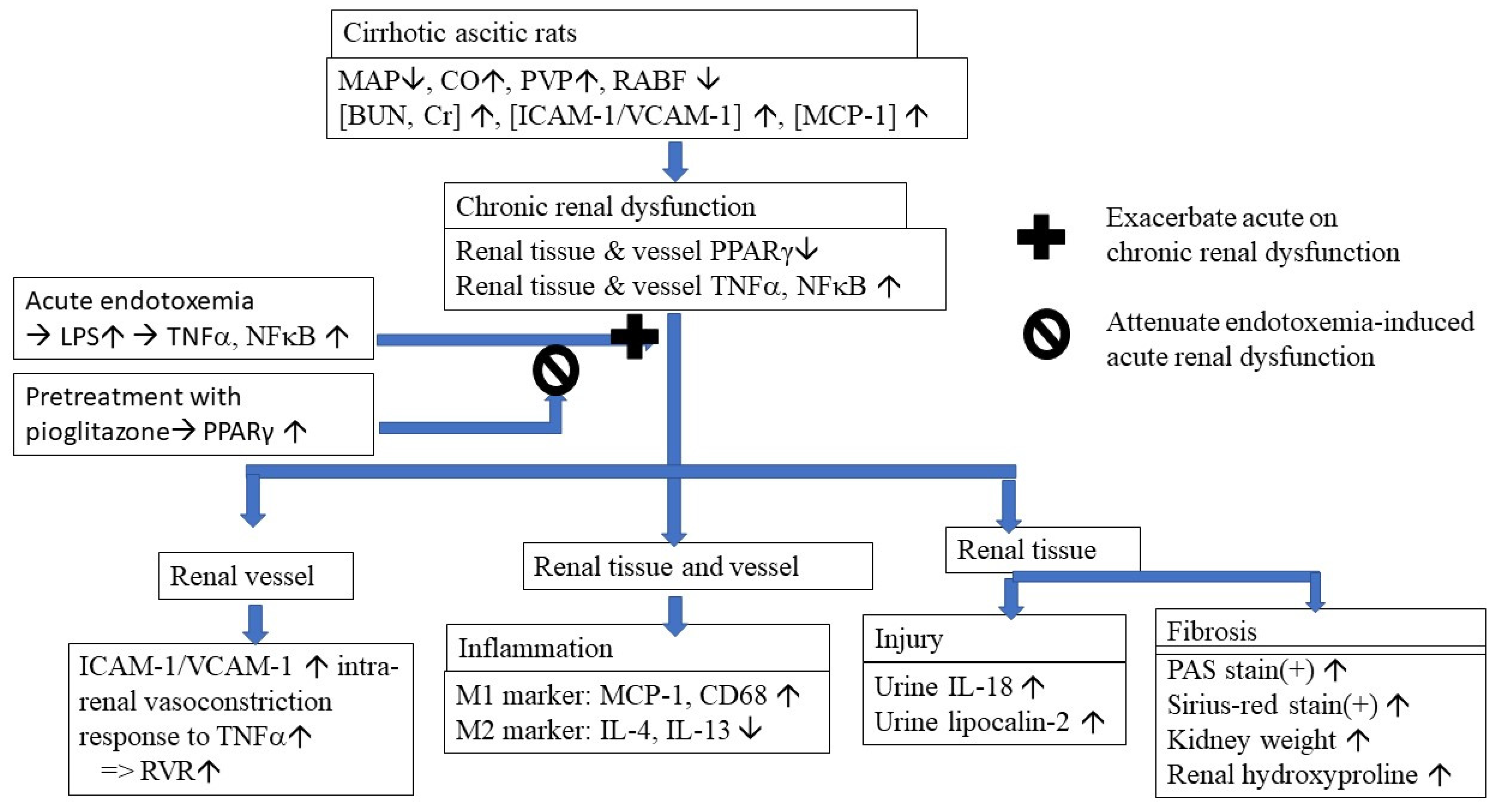 Cells 10 03044 g006 550