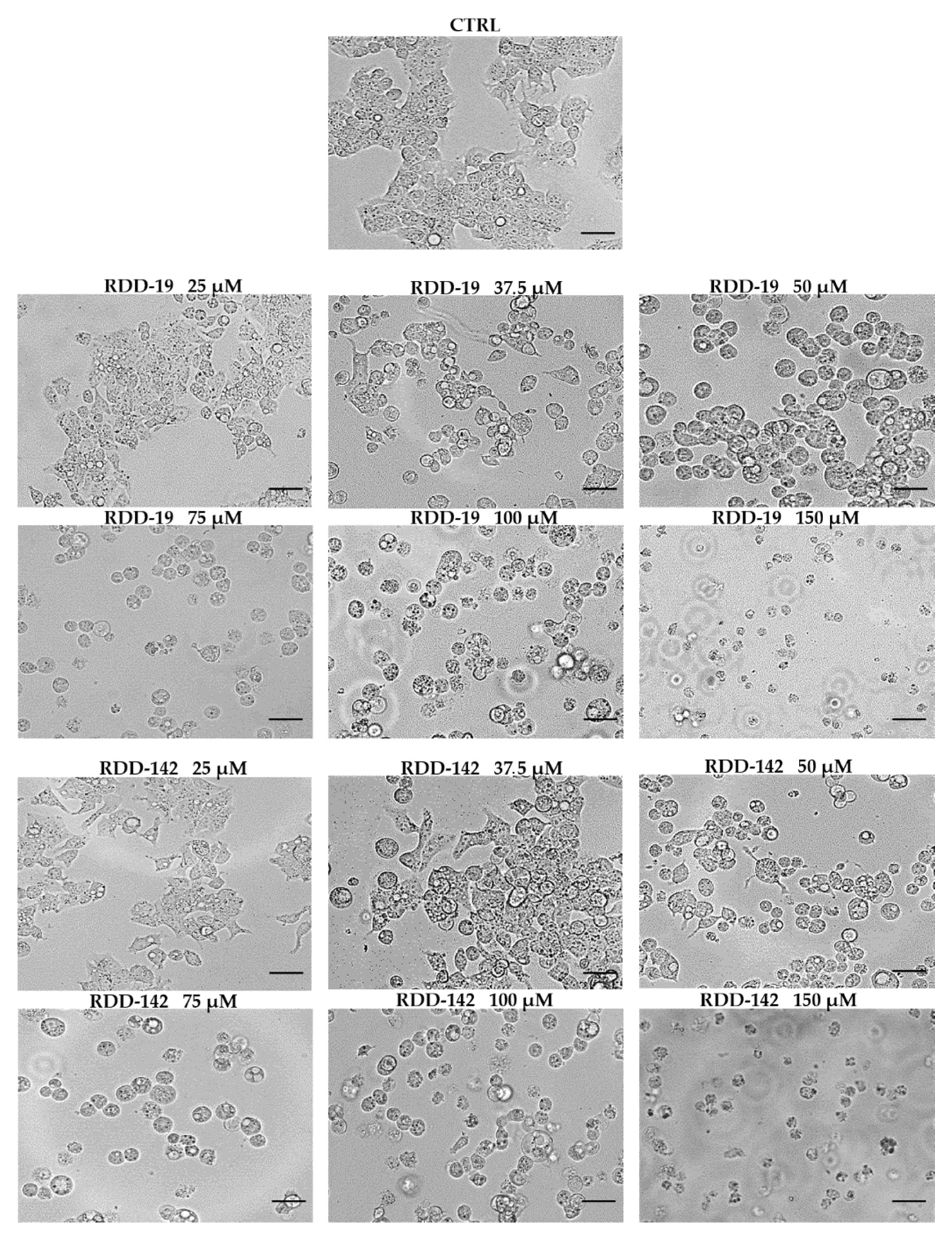 Cells 10 03052 g003 Cells 10 03052 g003
