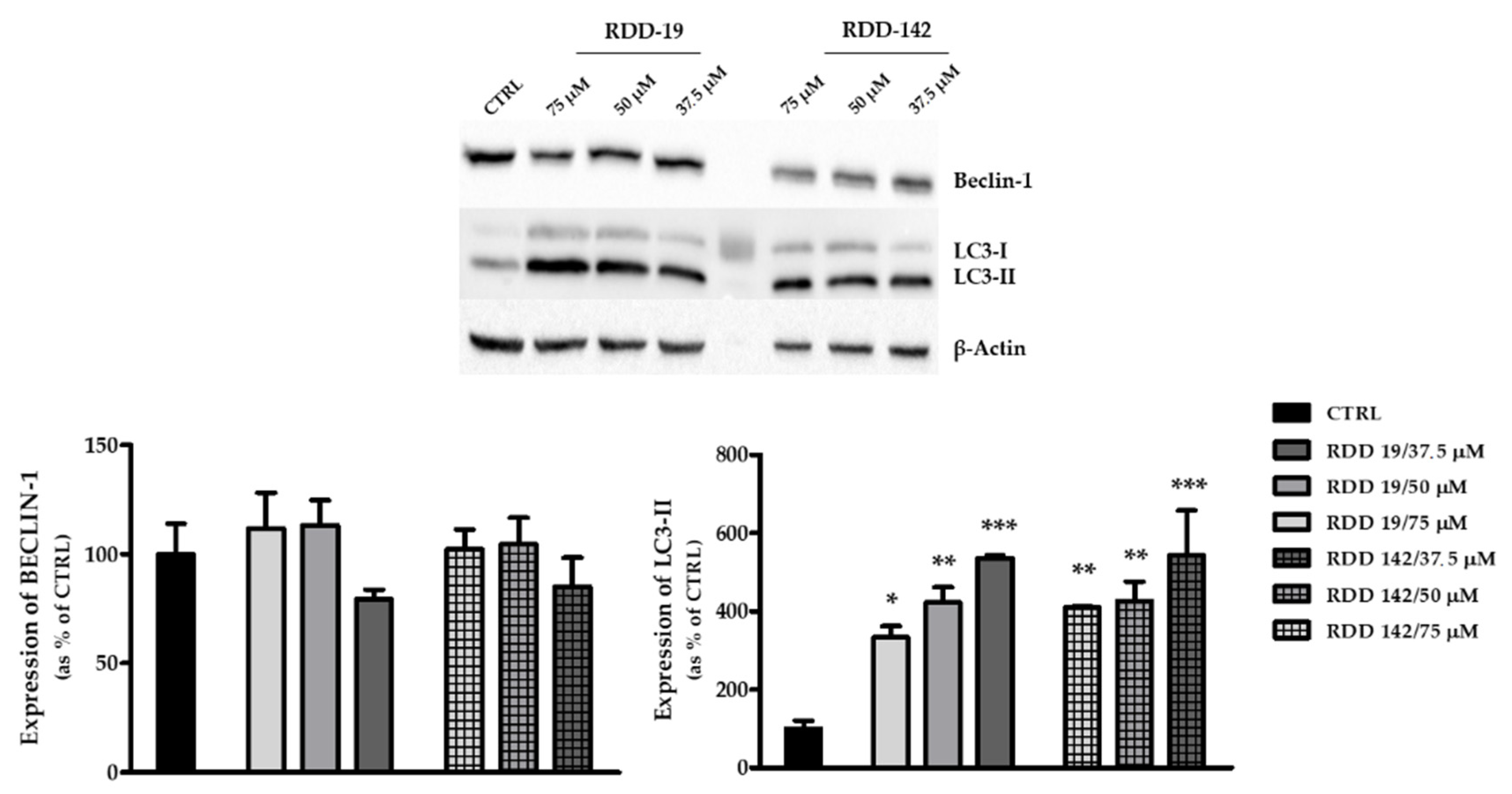 Cells 10 03052 g007 Cells 10 03052 g007