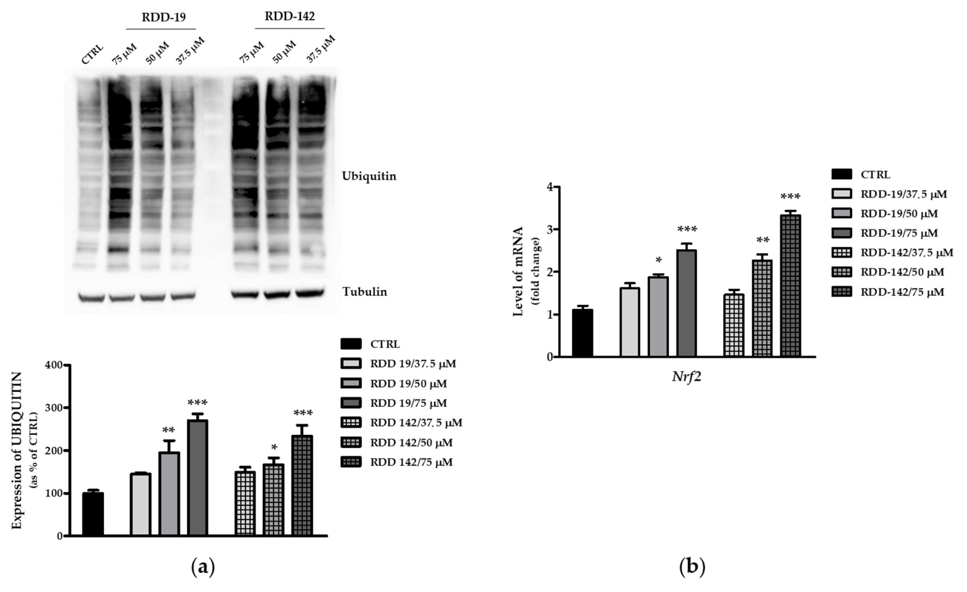 Cells 10 03052 g008 Cells 10 03052 g008