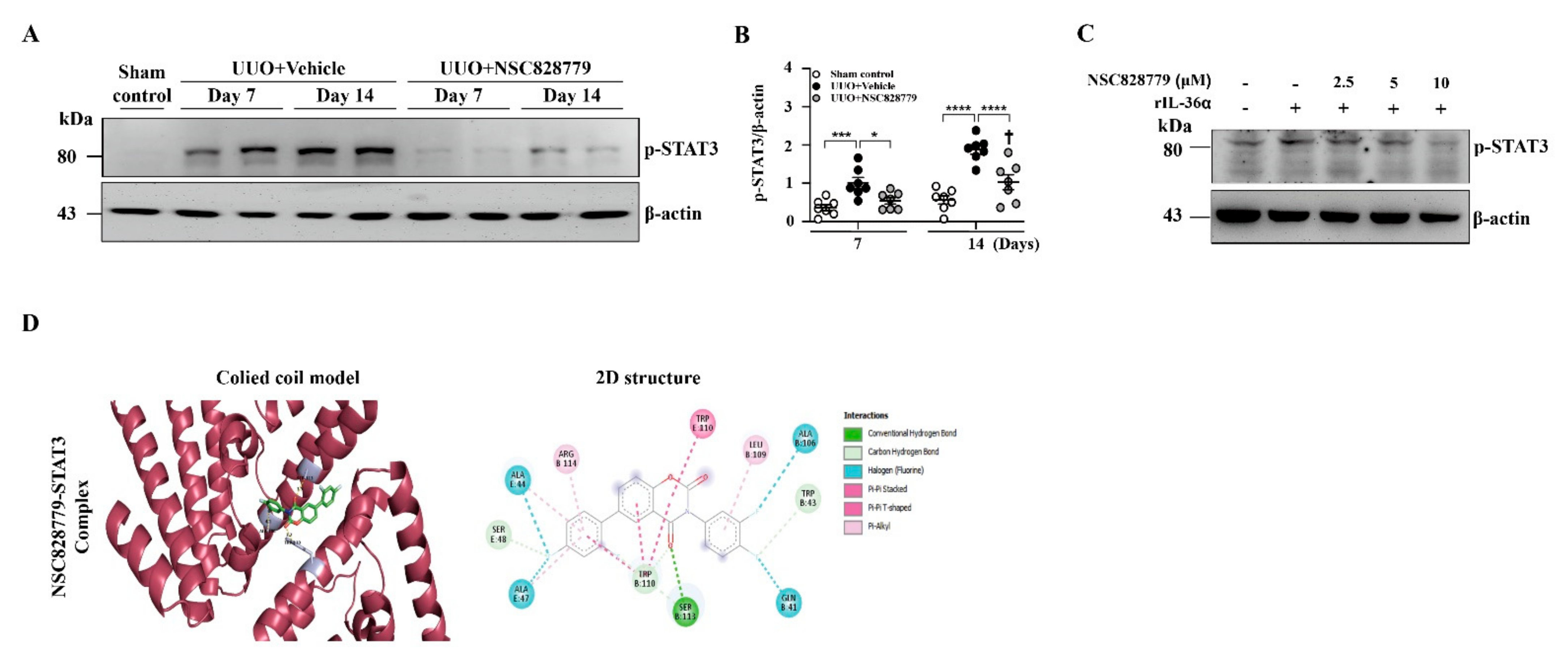 Cells 10 03060 g007 Cells 10 03060 g007