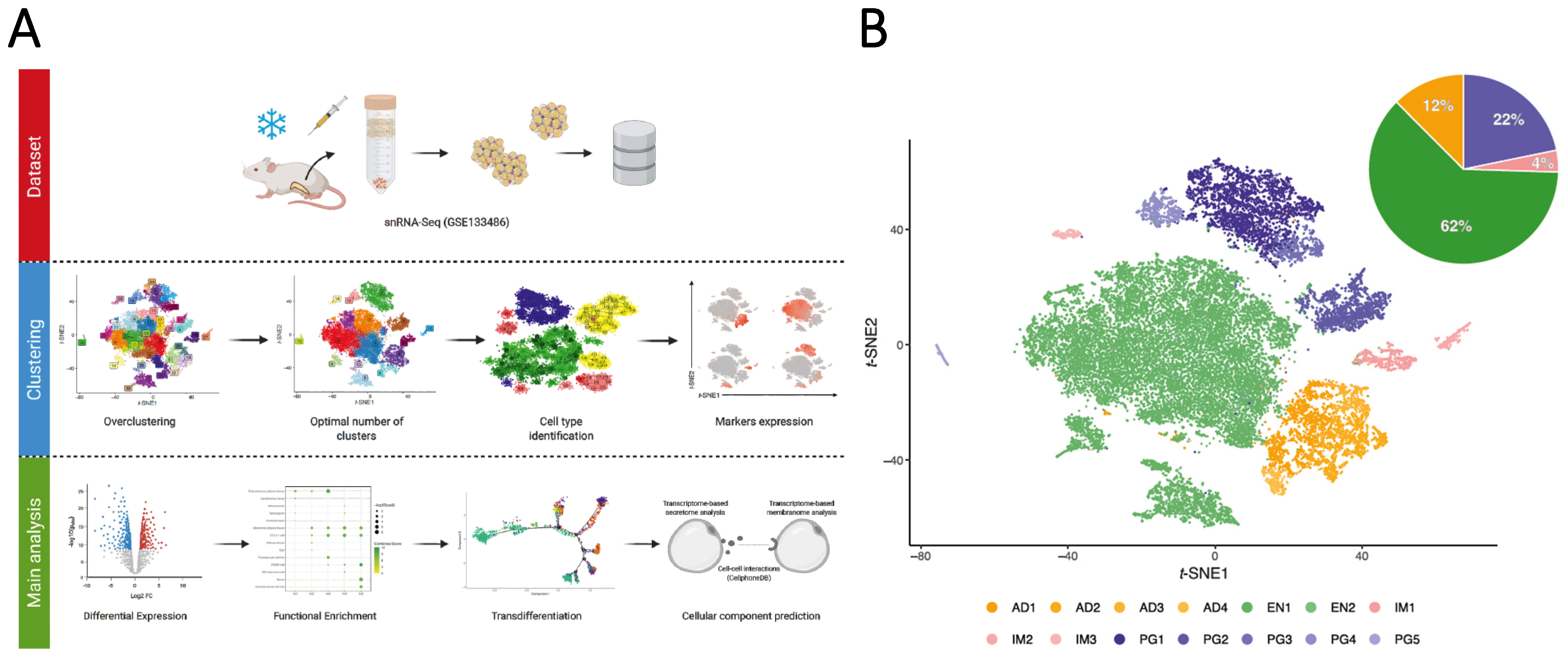 Cells 10 03073 g001a