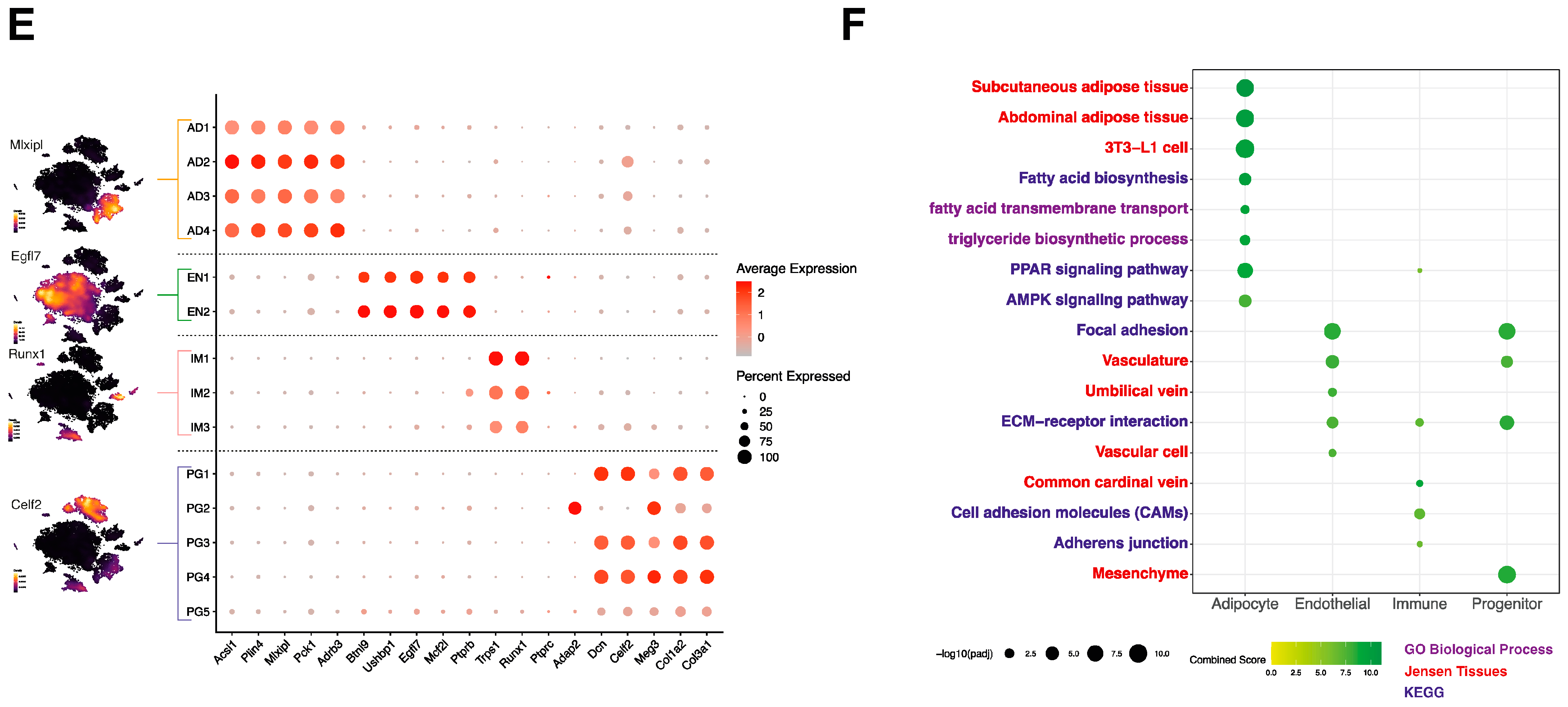Cells 10 03073 g001c
