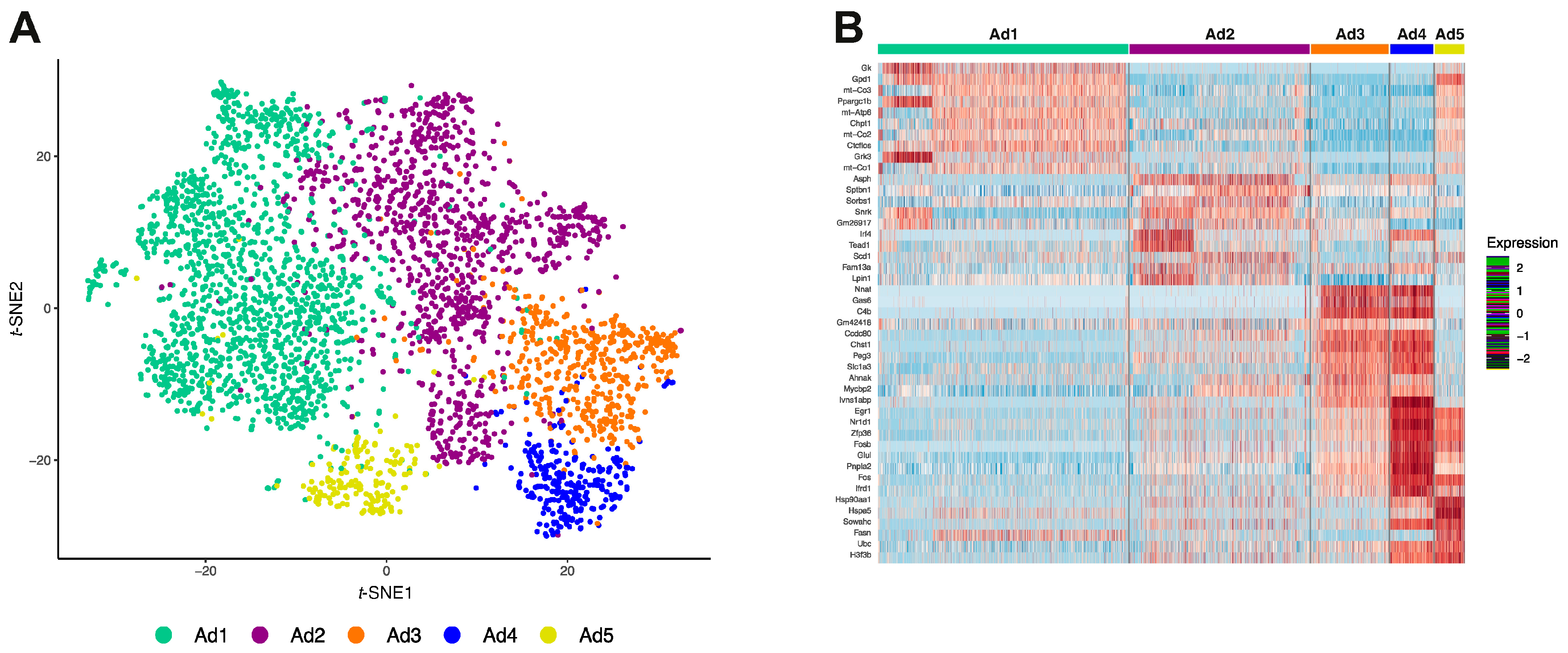 Cells 10 03073 g002a