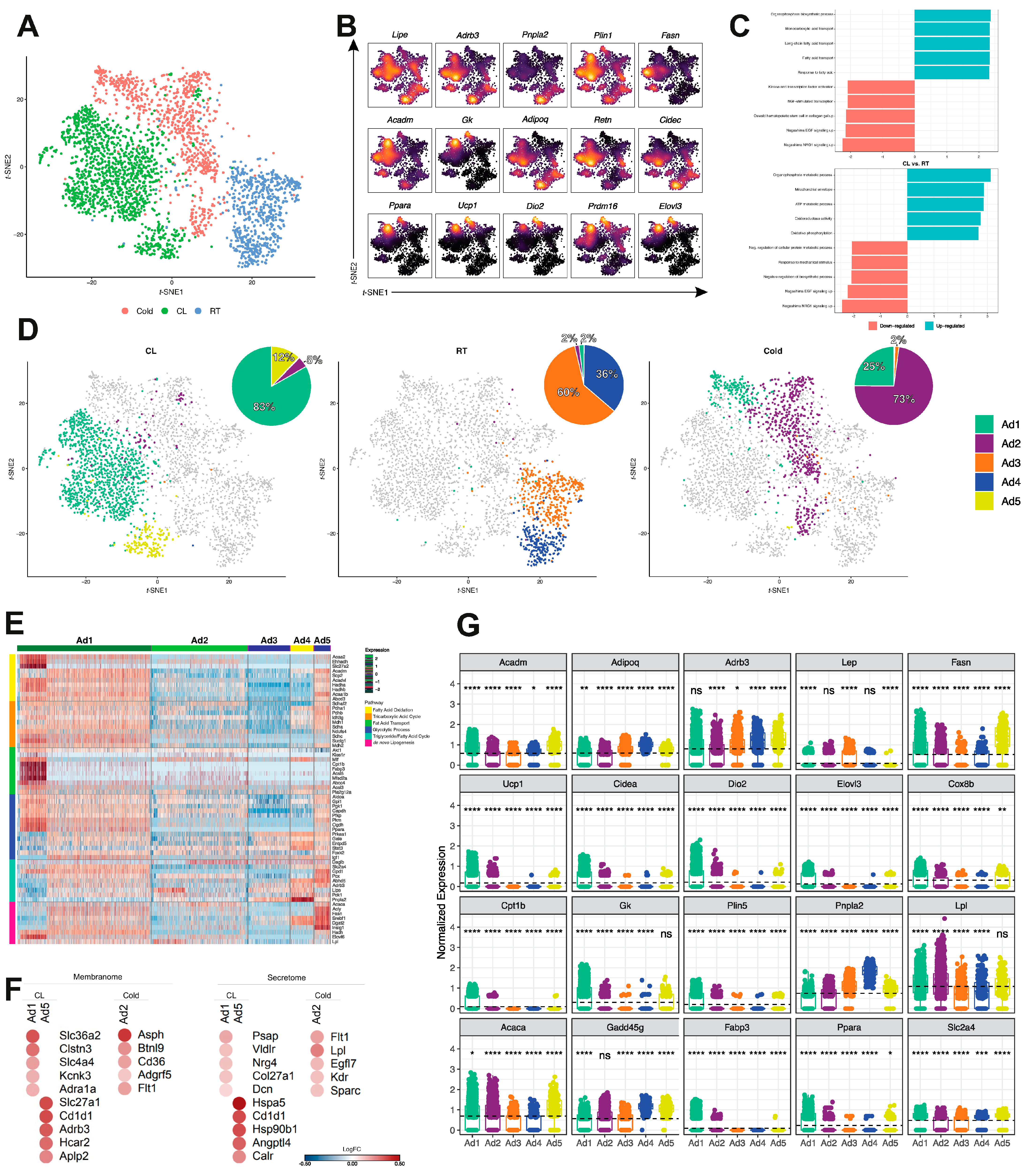Cells 10 03073 g003a