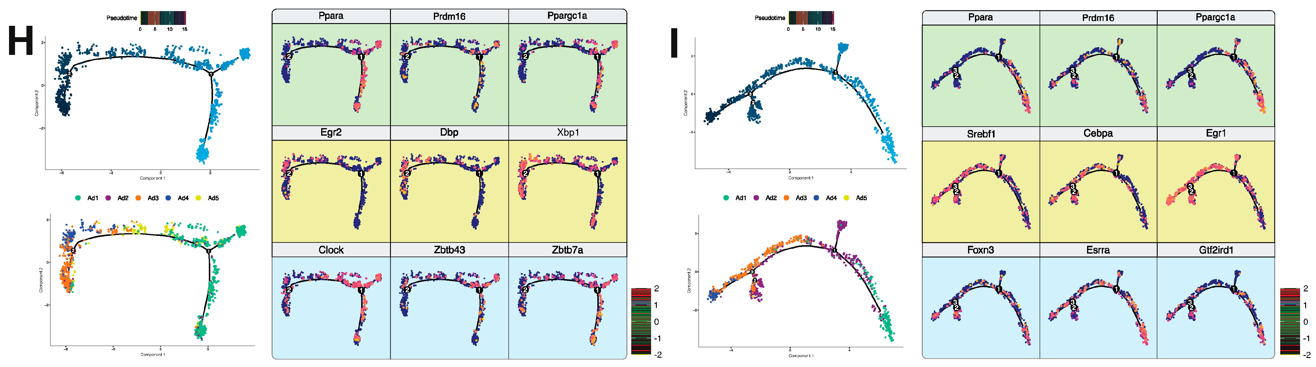 Cells 10 03073 g003b