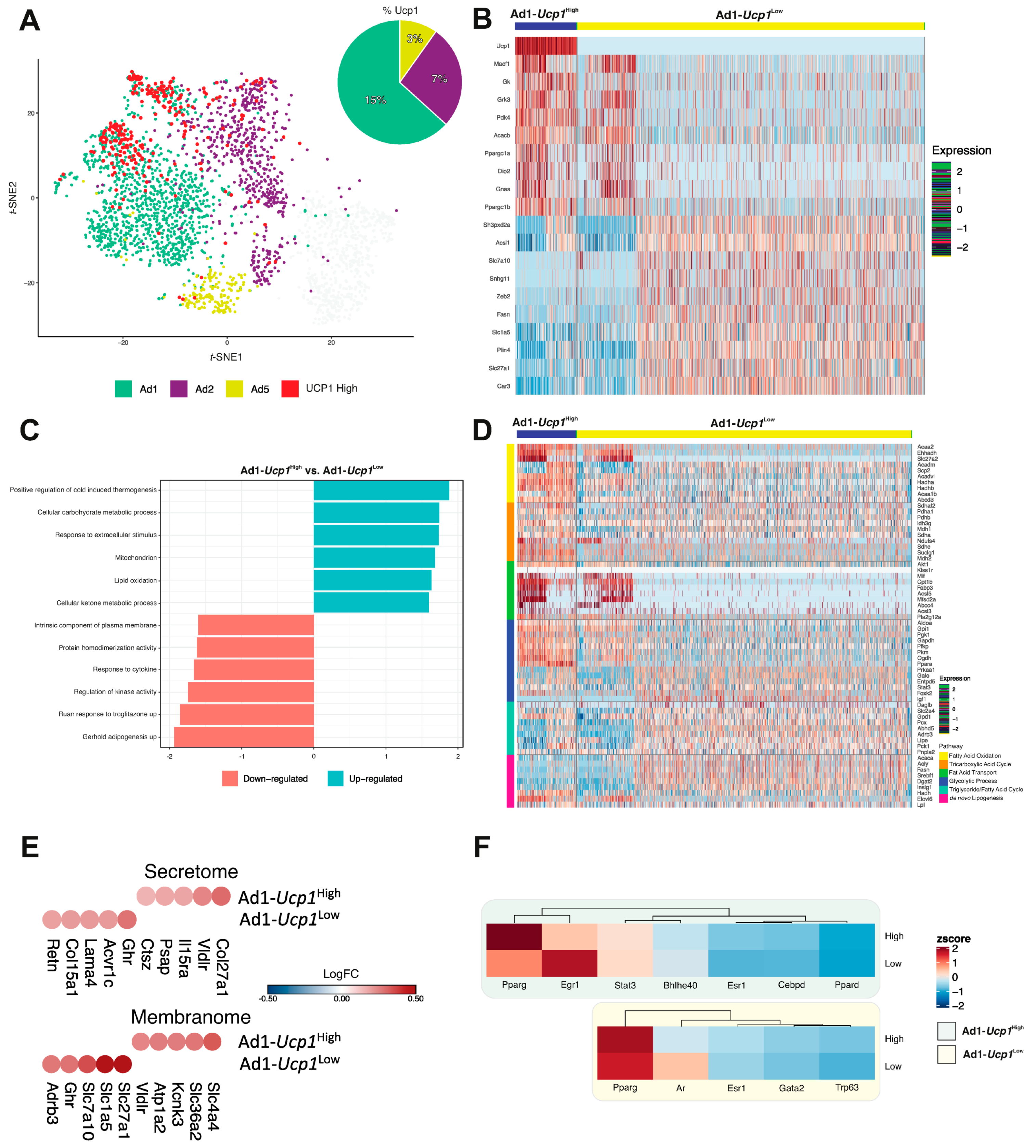 Cells 10 03073 g004a