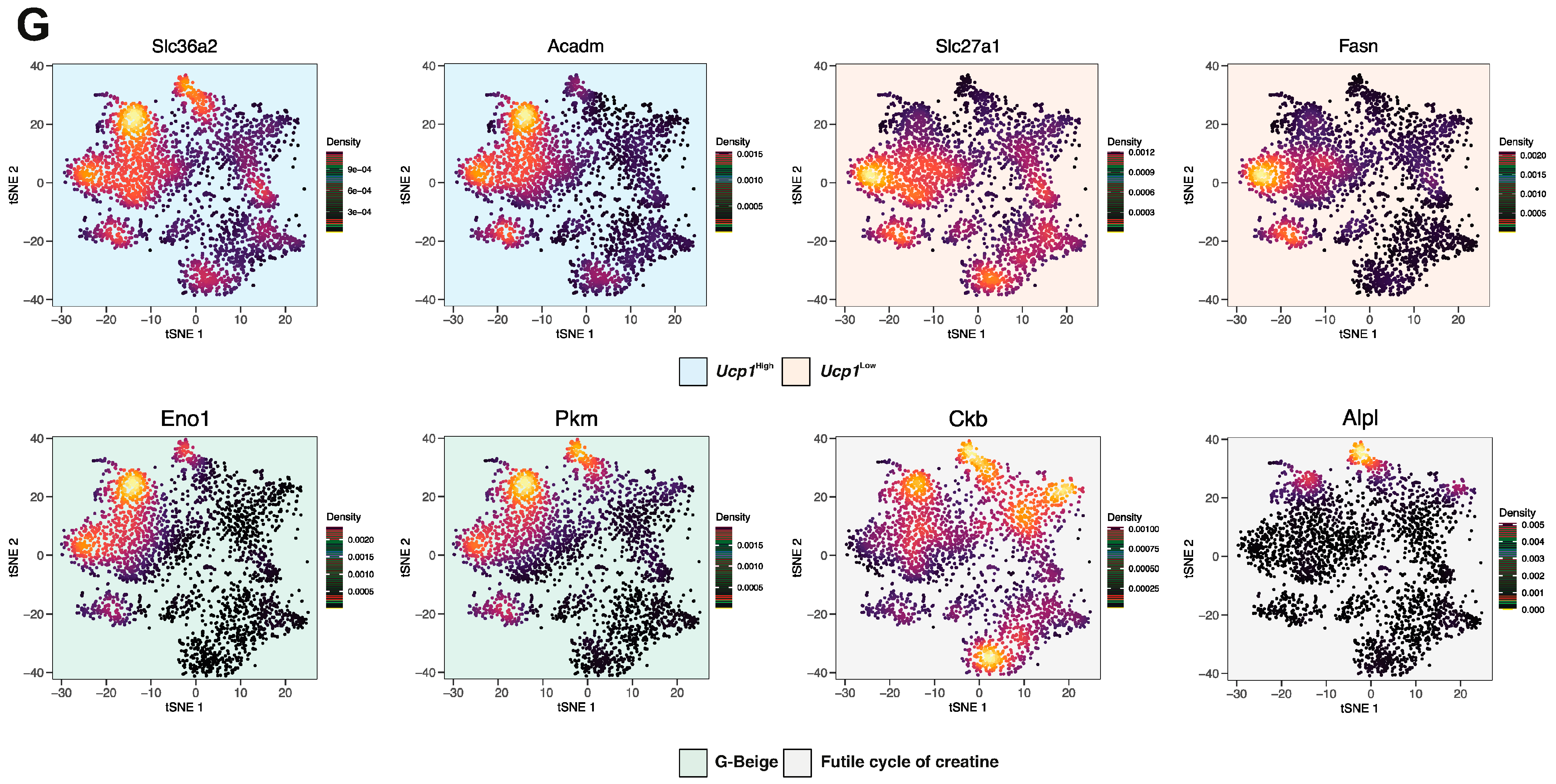 Cells 10 03073 g004b