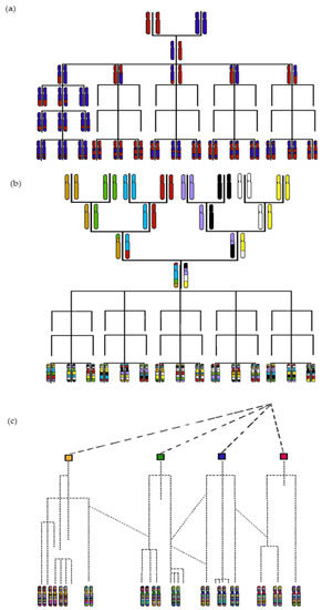 Deciphering the Genetic Architecture of Plant Virus Resistance by