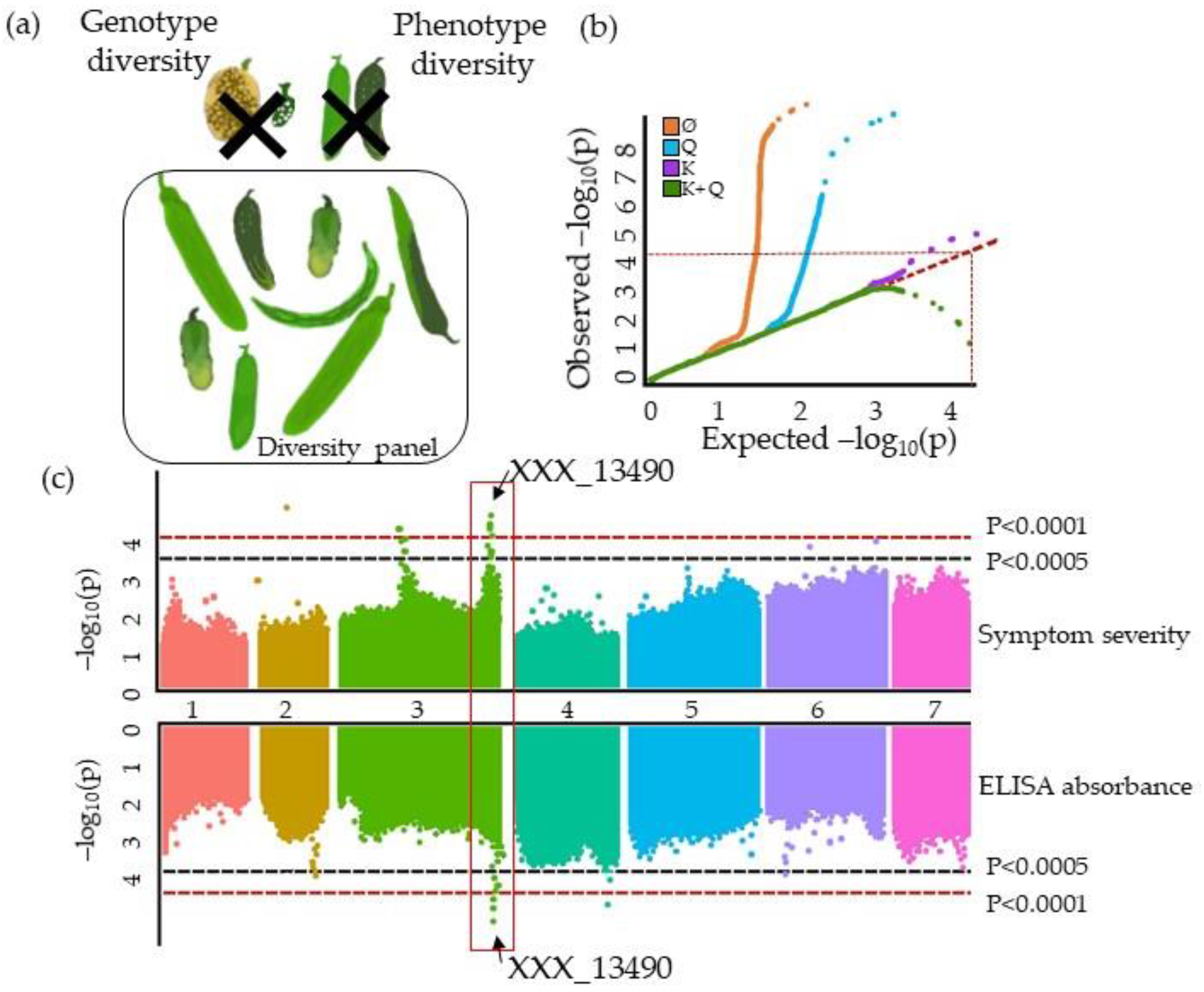 Cells 10 03080 g007 Cells 10 03080 g007