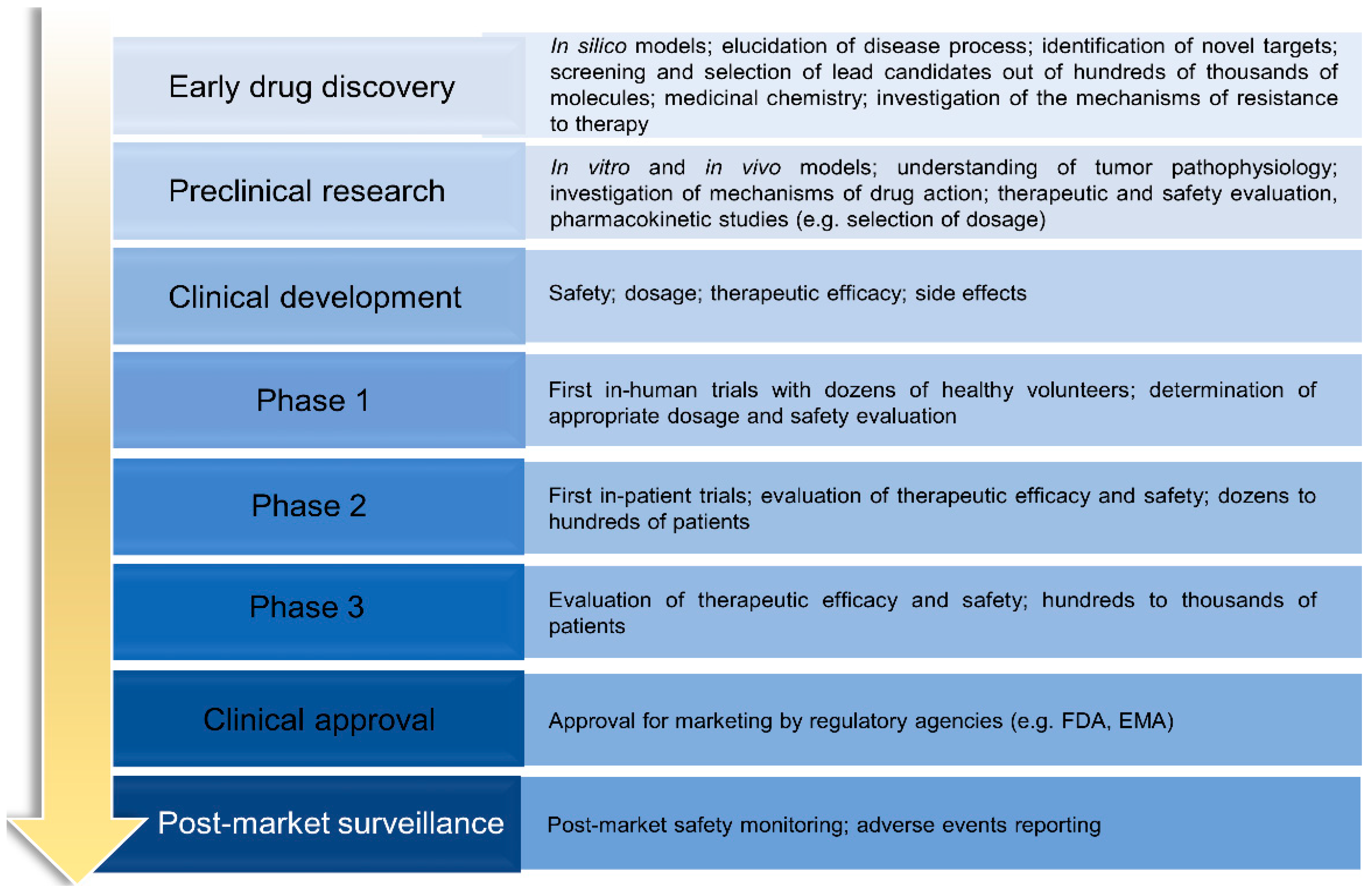 Cells 10 03088 g002 Cells 10 03088 g002