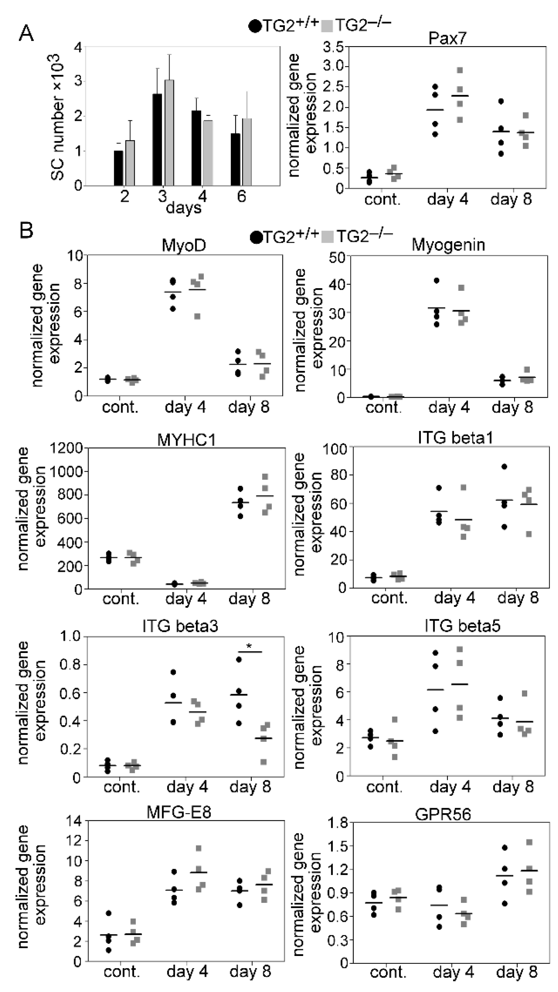 Cells 10 03089 g005 Cells 10 03089 g005