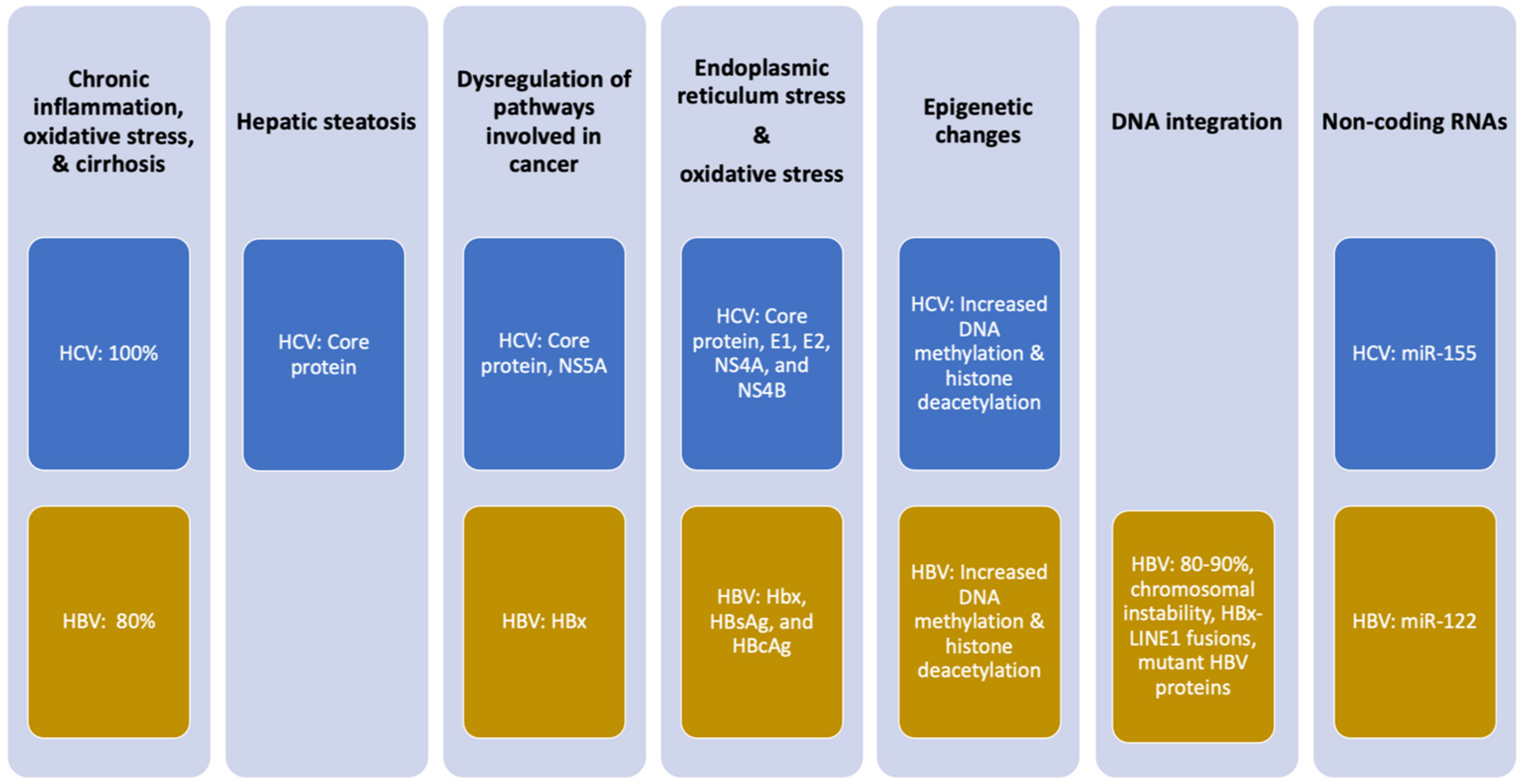 Cells | Free Full-Text | Treatment for Viral Hepatitis as 