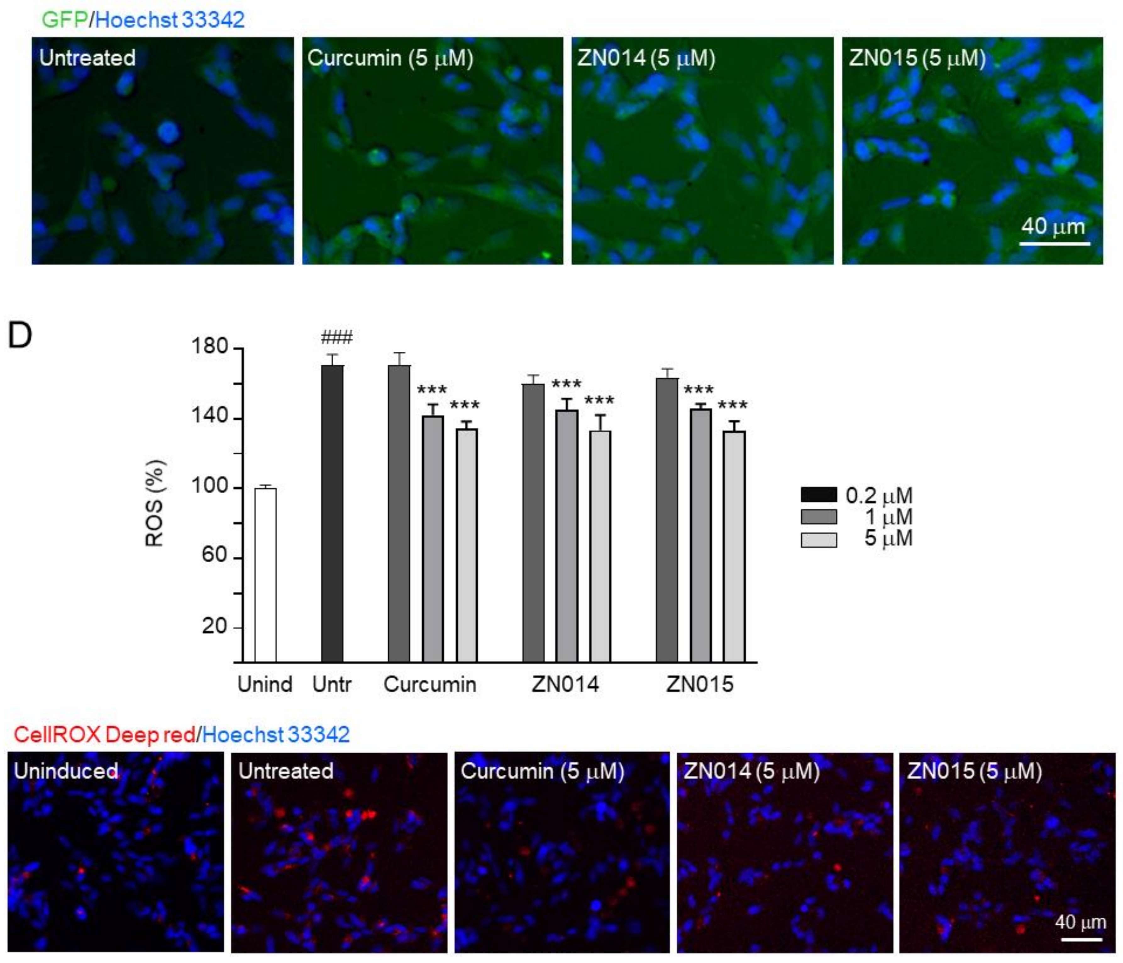 Cells 10 03095 g002b