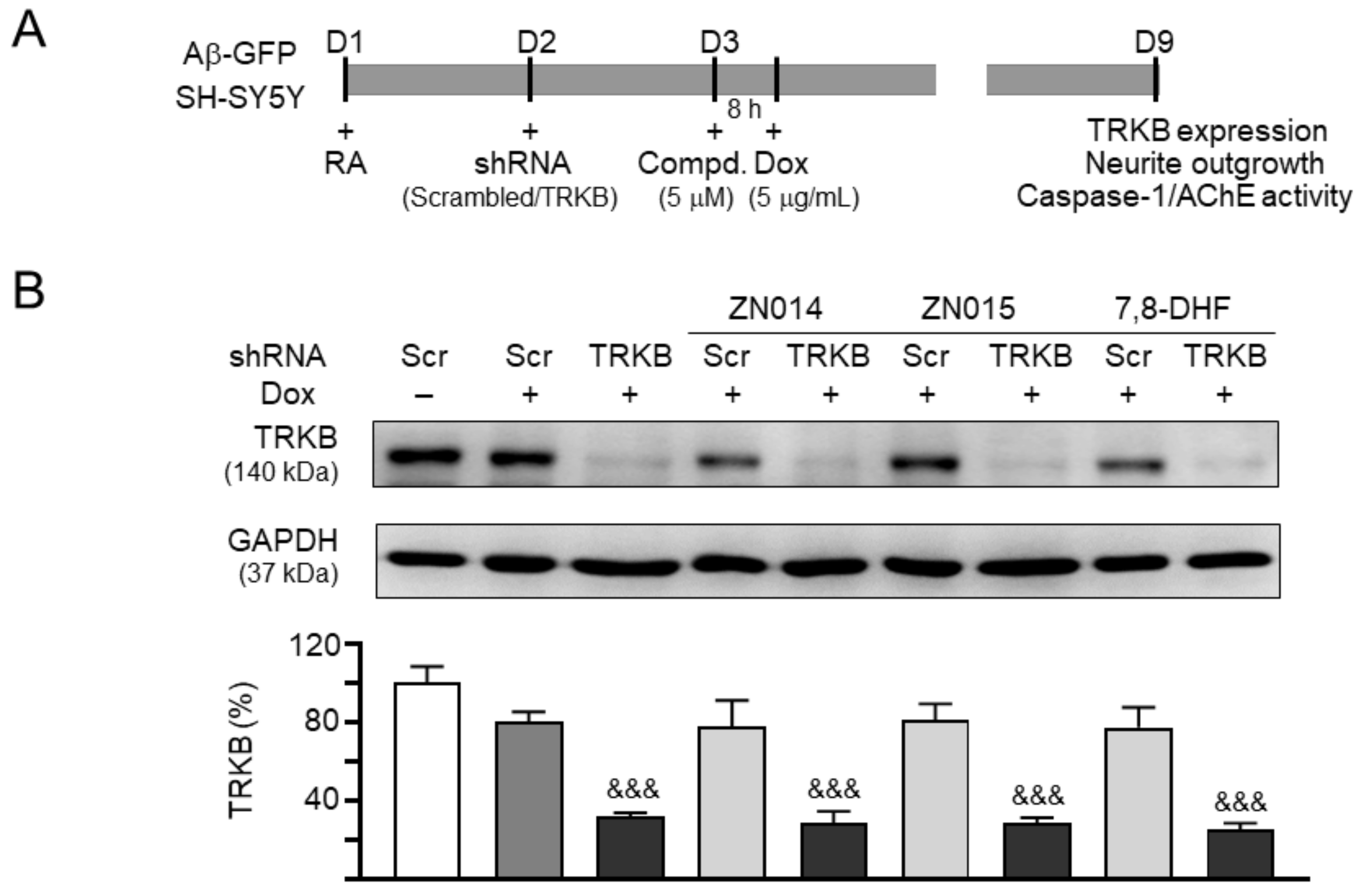 Cells 10 03095 g005a