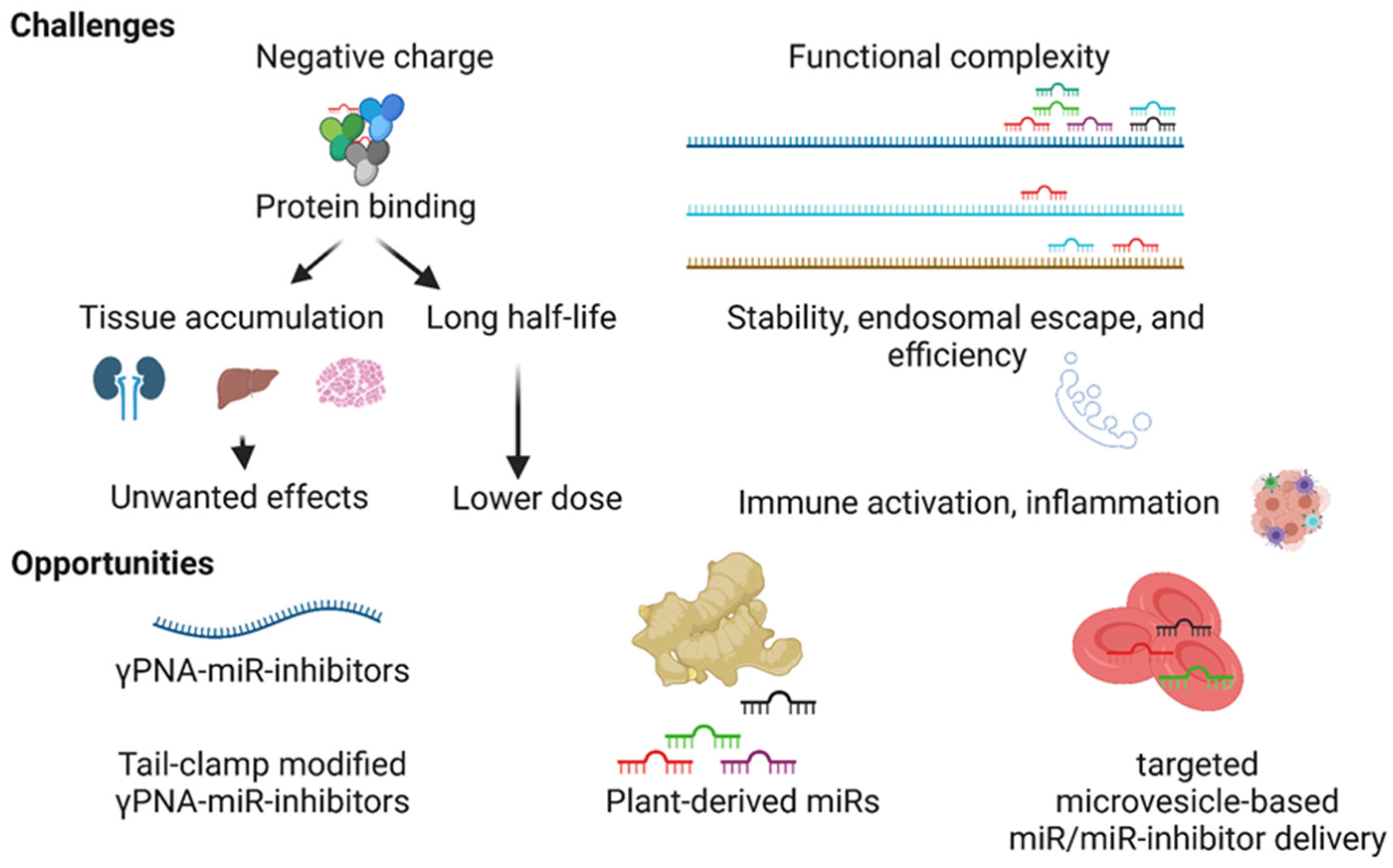 Cells 10 03097 g004
