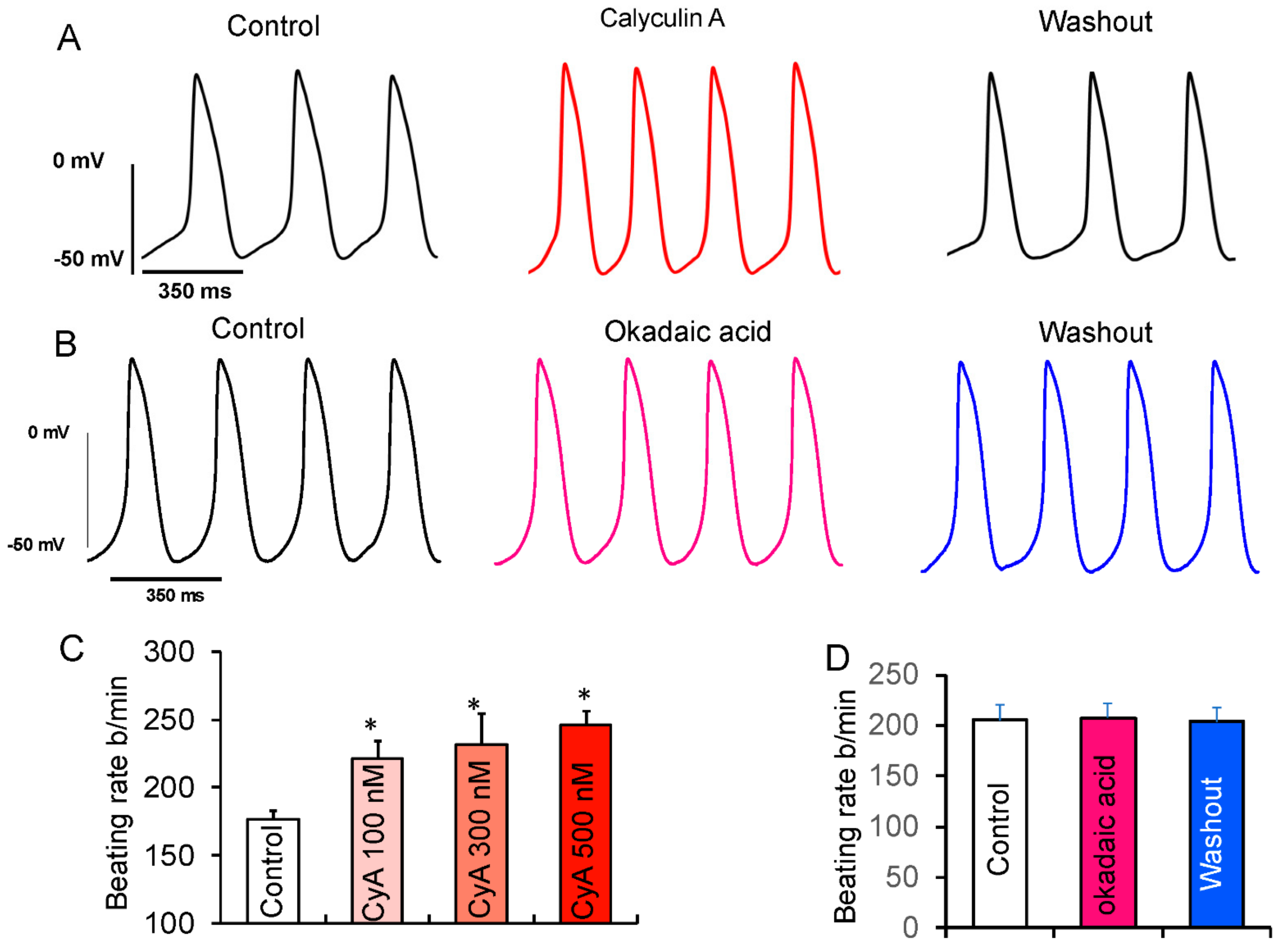Cells 10 03106 g006 Cells 10 03106 g006