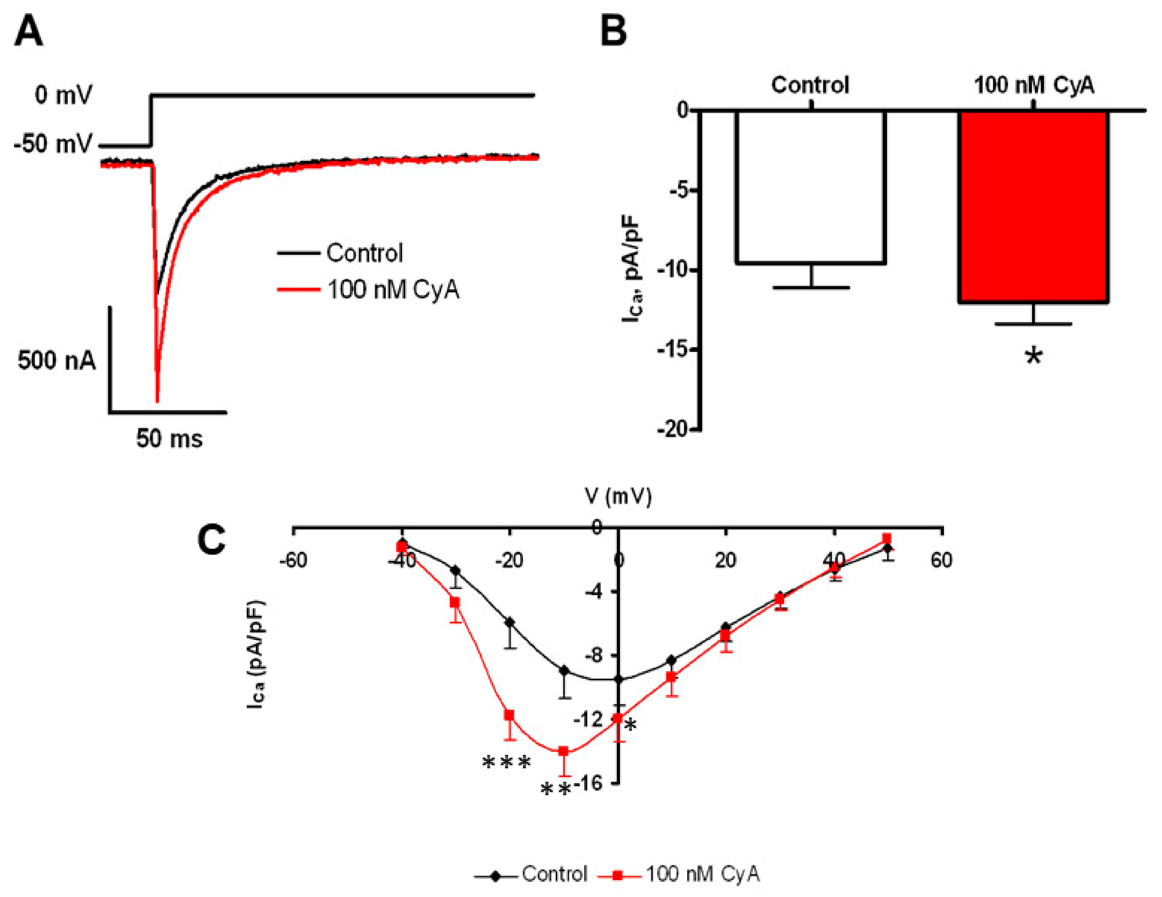 Cells 10 03106 g008 Cells 10 03106 g008