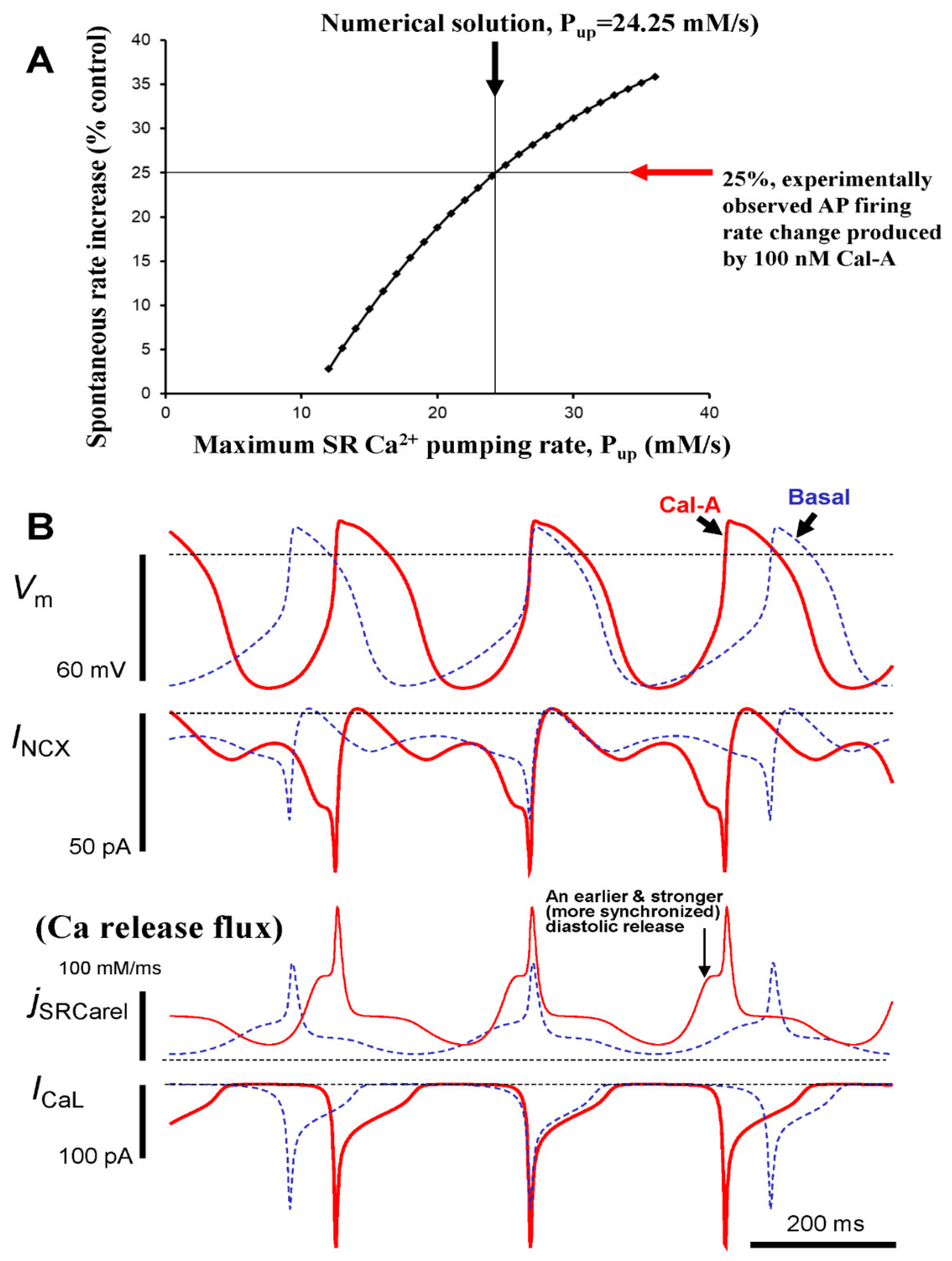 Cells 10 03106 g009 Cells 10 03106 g009