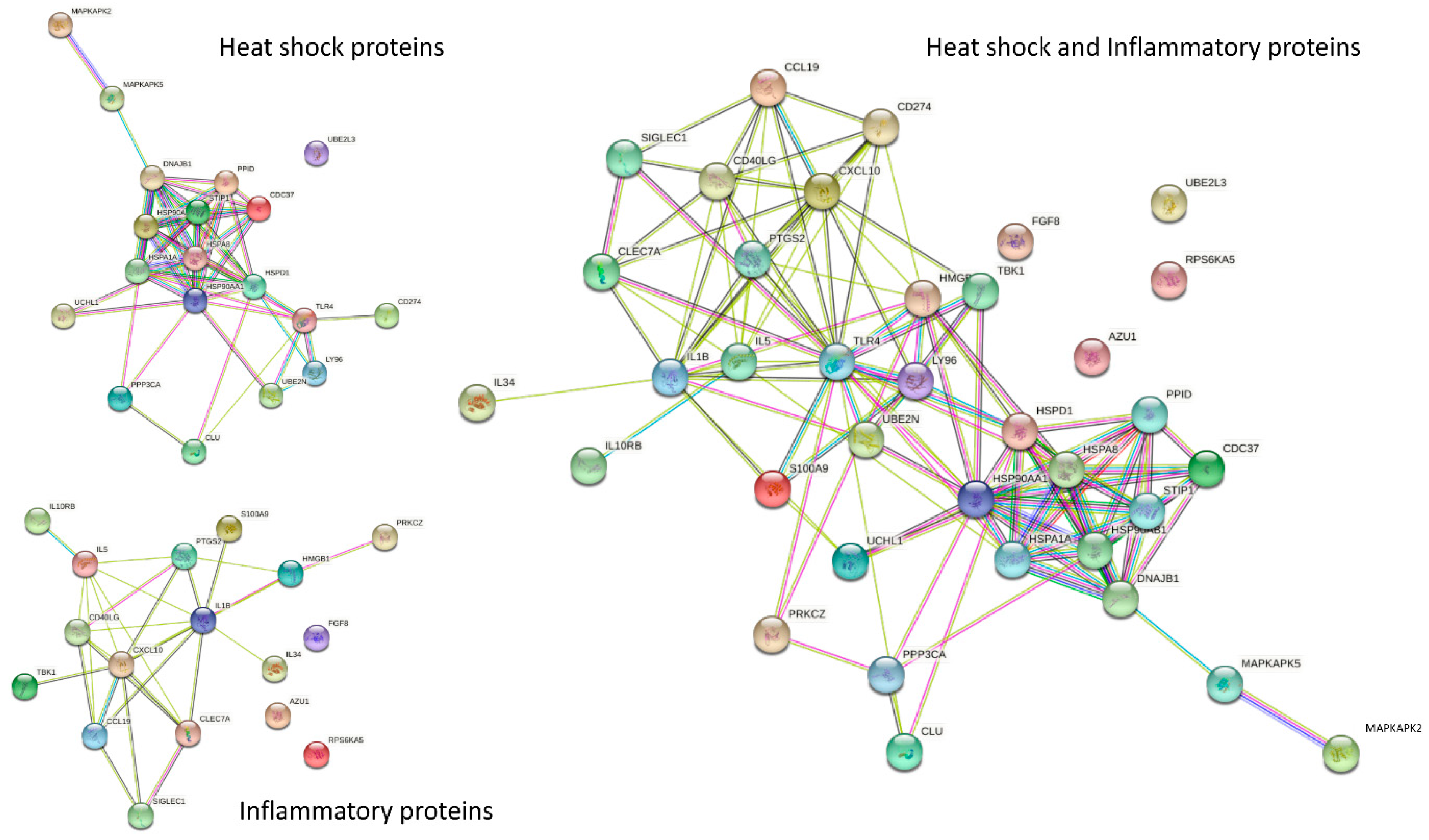 Cells 10 03109 g008 550