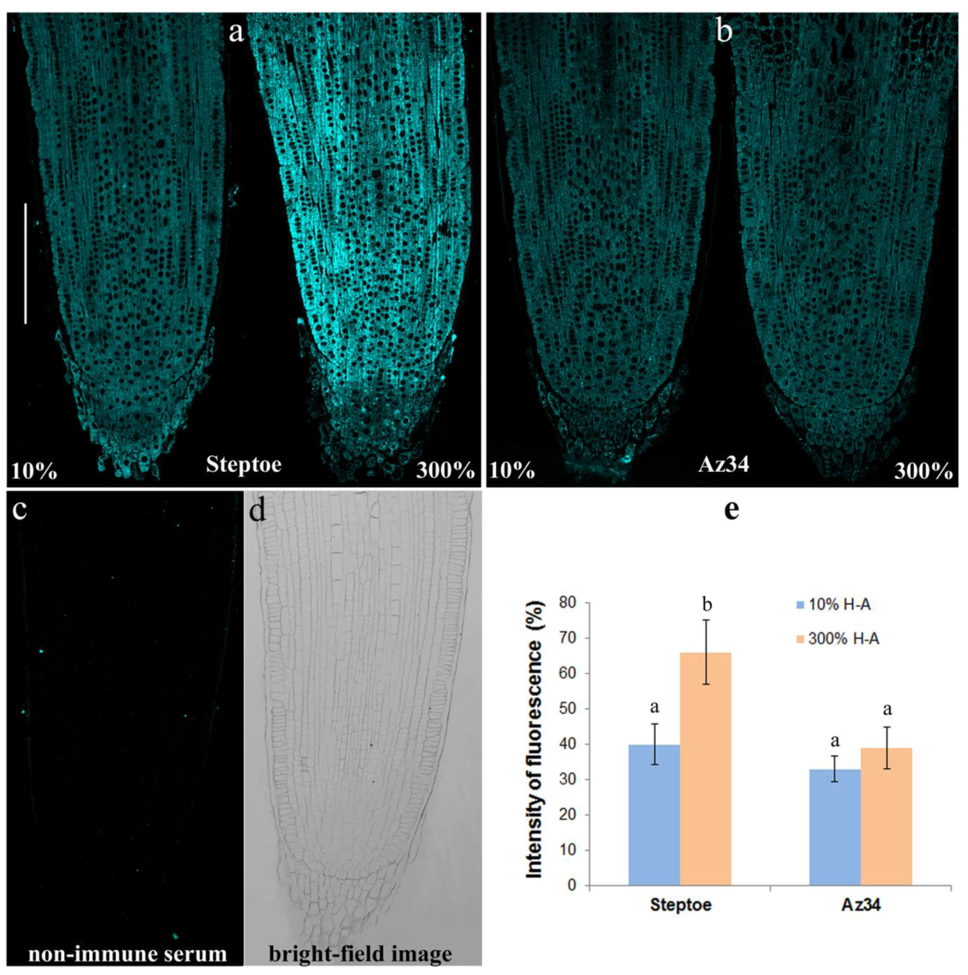 Cells 10 03110 g007 550