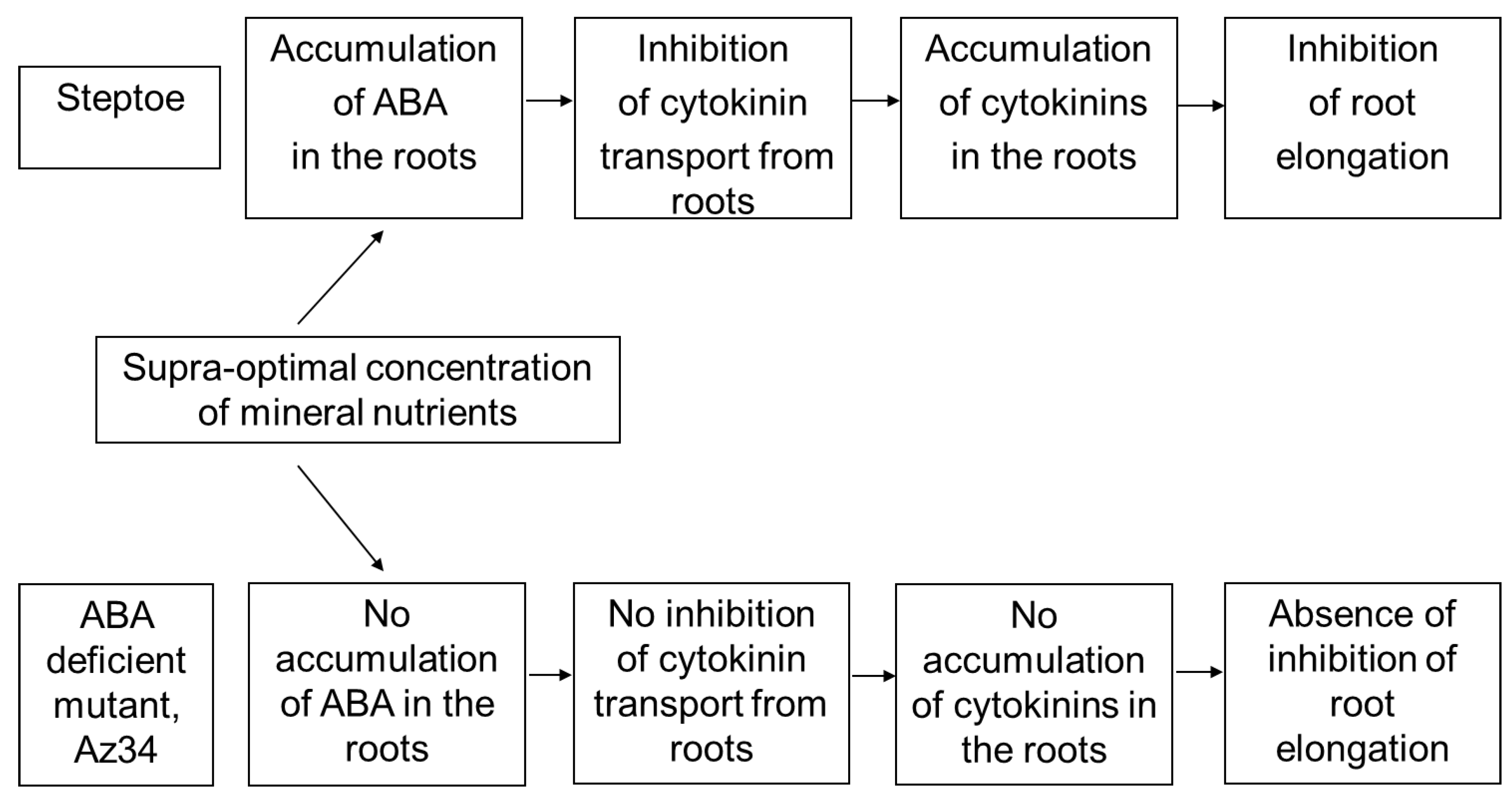 Cells 10 03110 g008 550