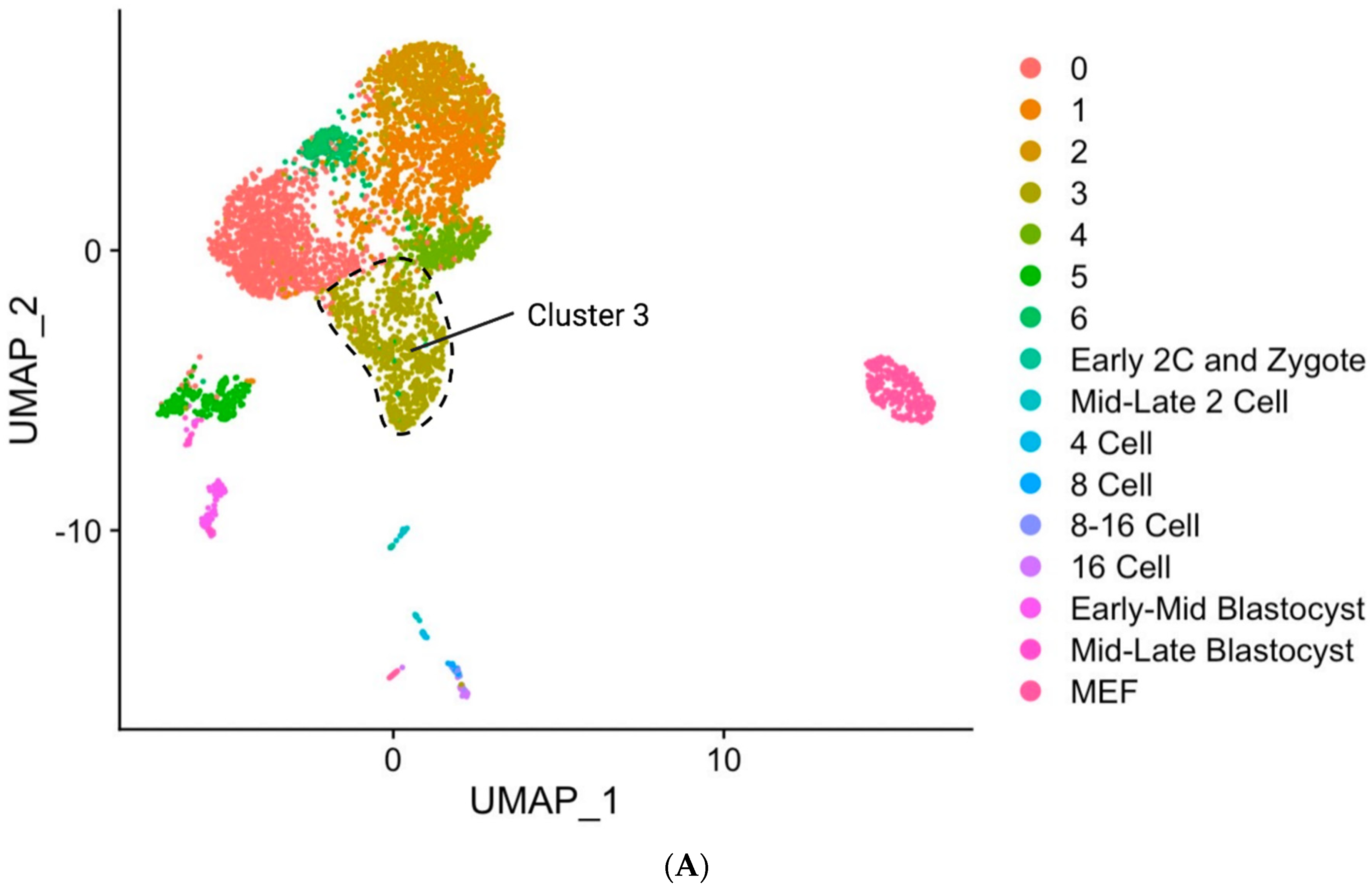 Cells 10 03111 g006a