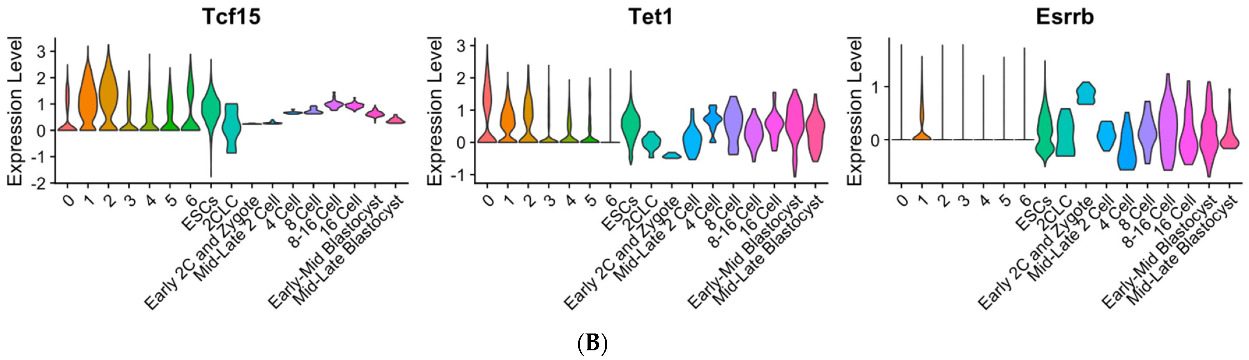 Cells 10 03111 g007b