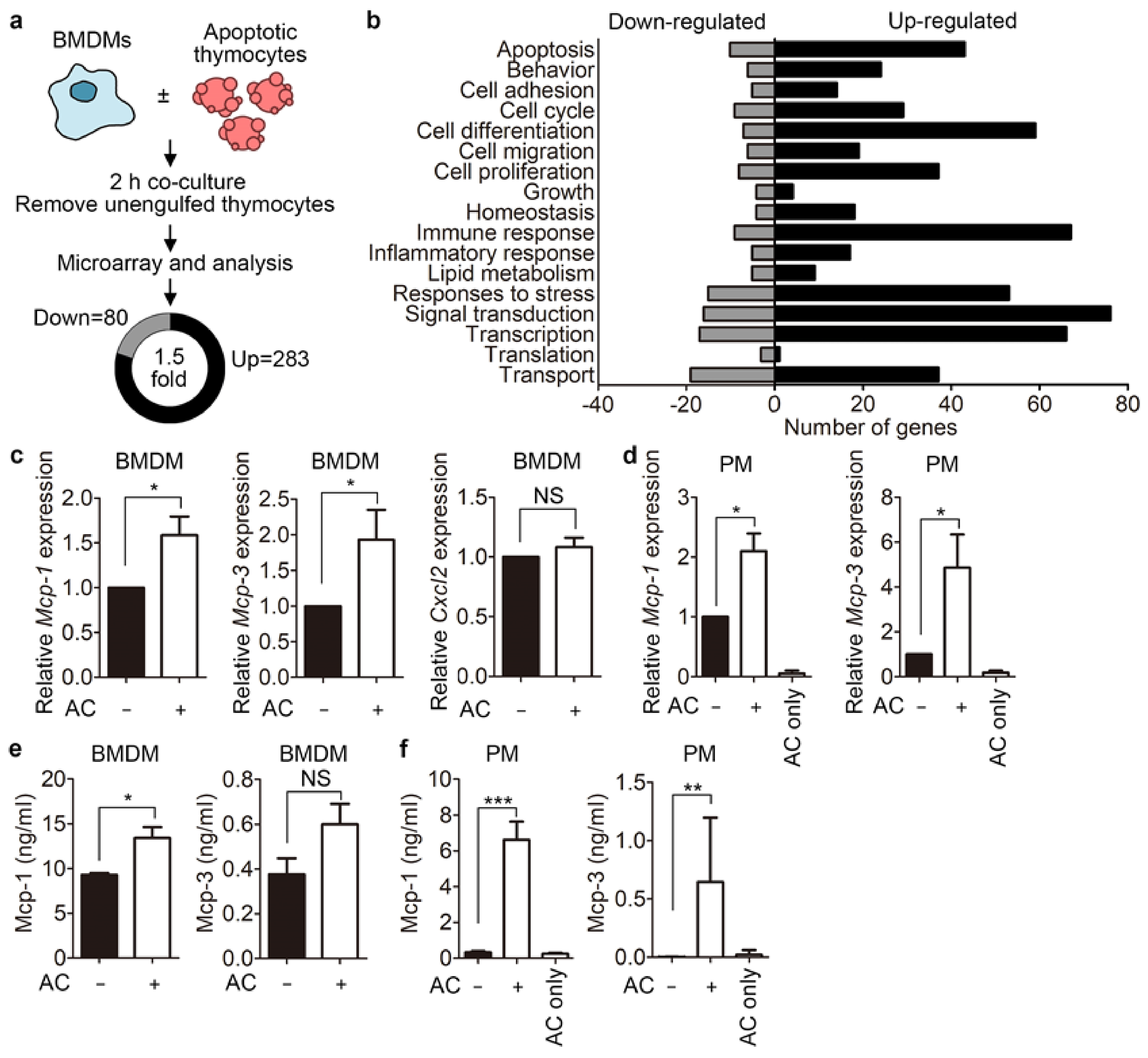 Cells 10 03115 g001 550