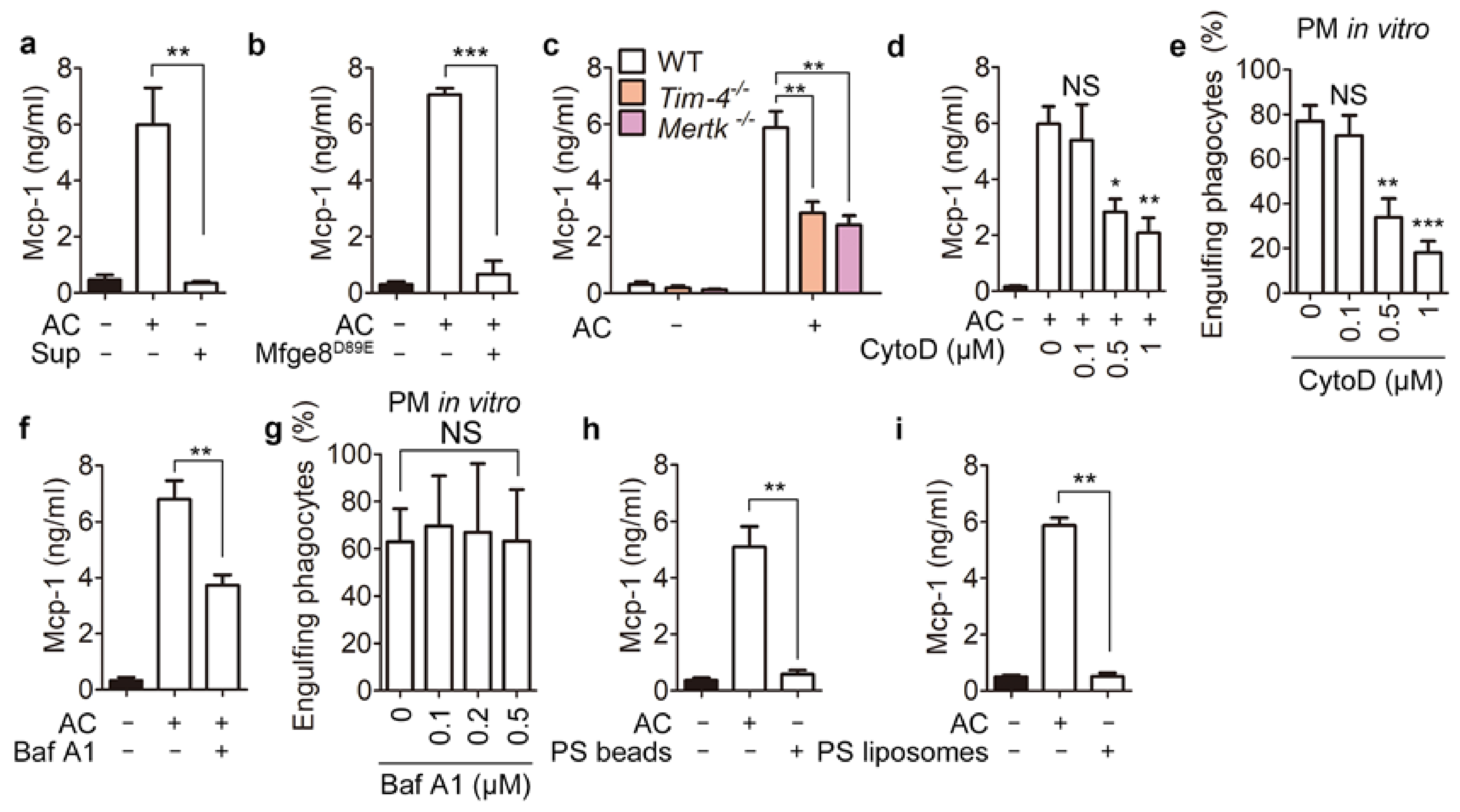Cells 10 03115 g002 550